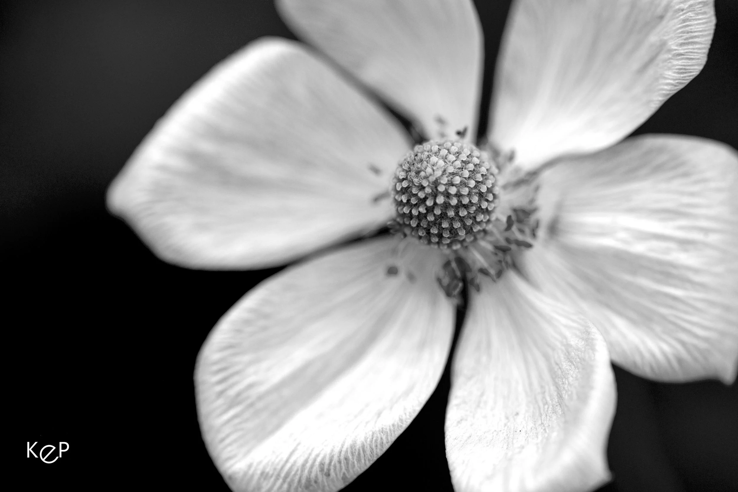 untitled-1.jpg