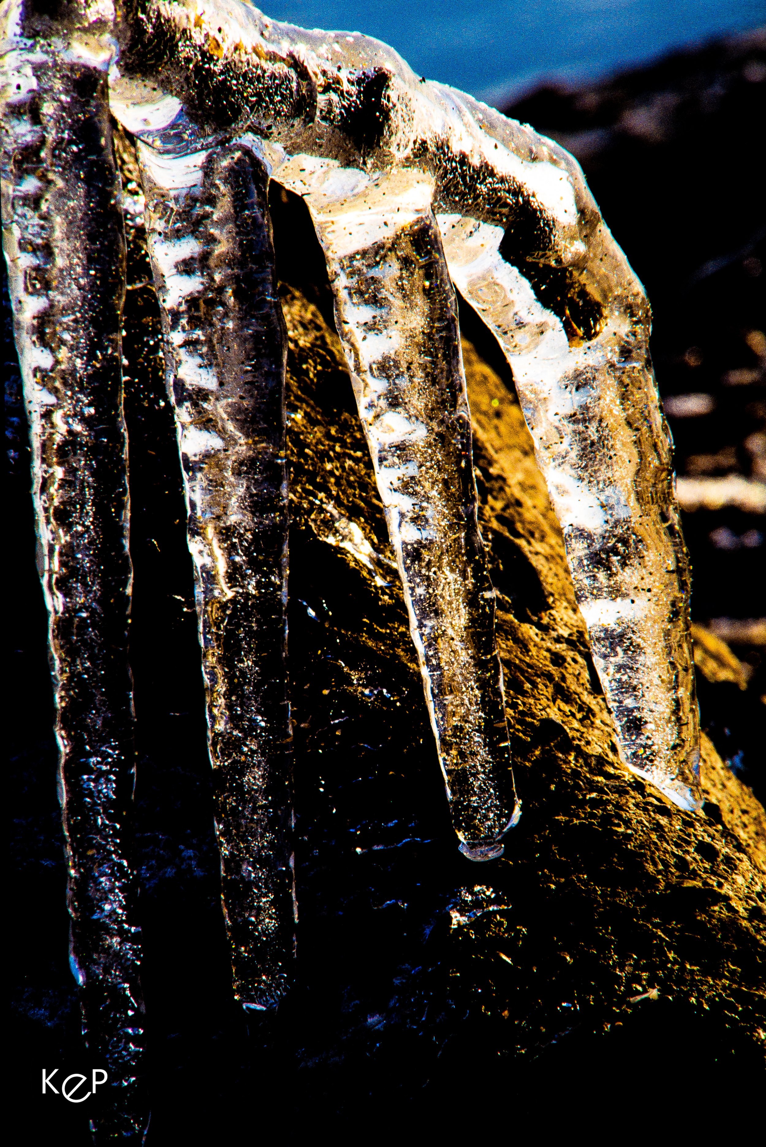 20211212-KEP_Leamington_Colour-15.jpg
