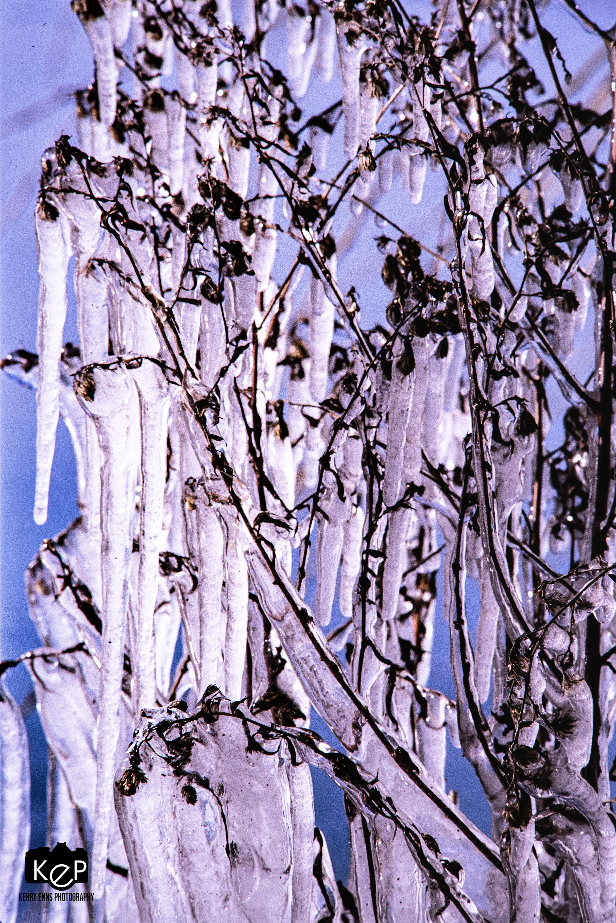 20211212-KEP_Leamington_Colour-12.jpg