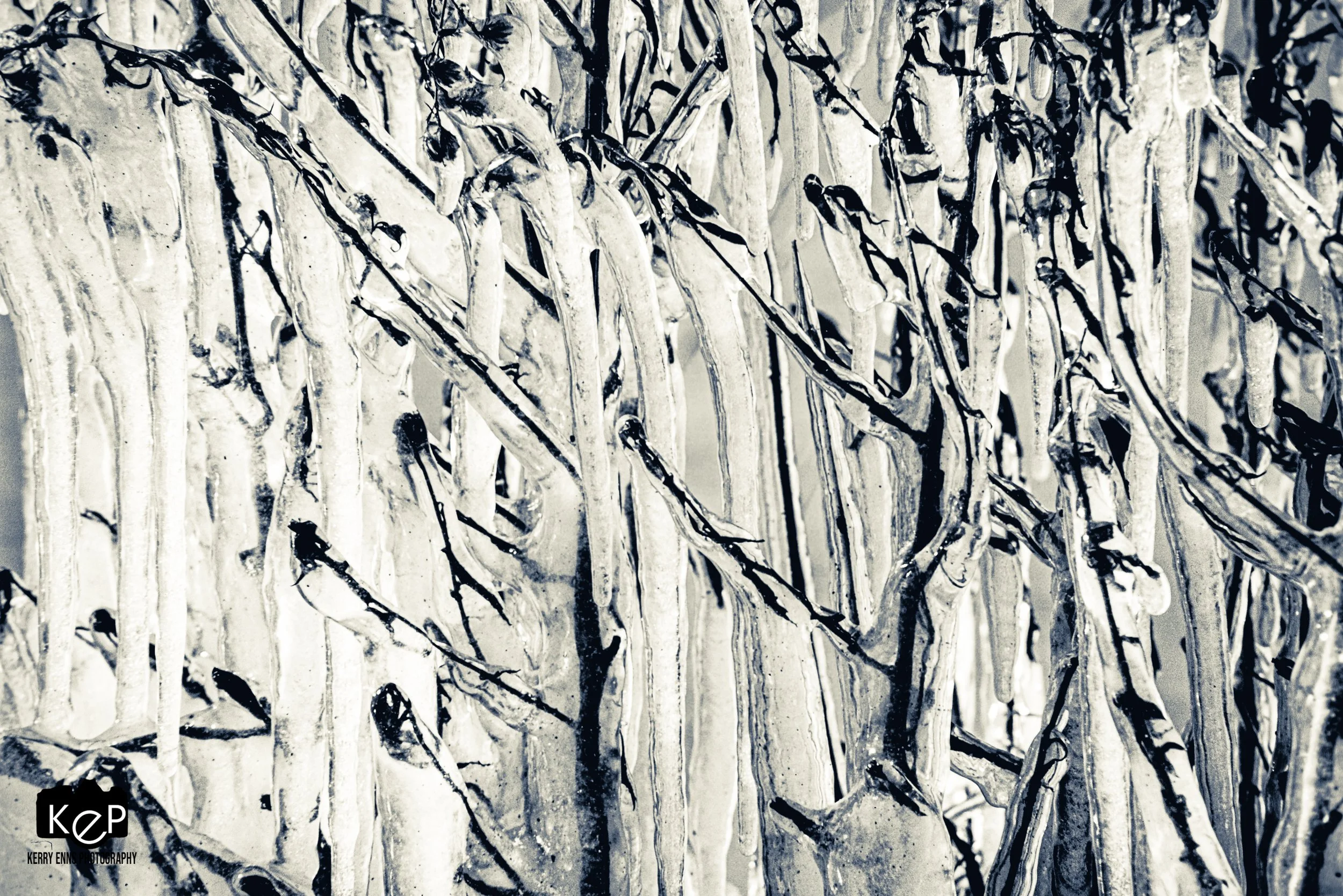Lake Erie Icicles-25-3.jpg