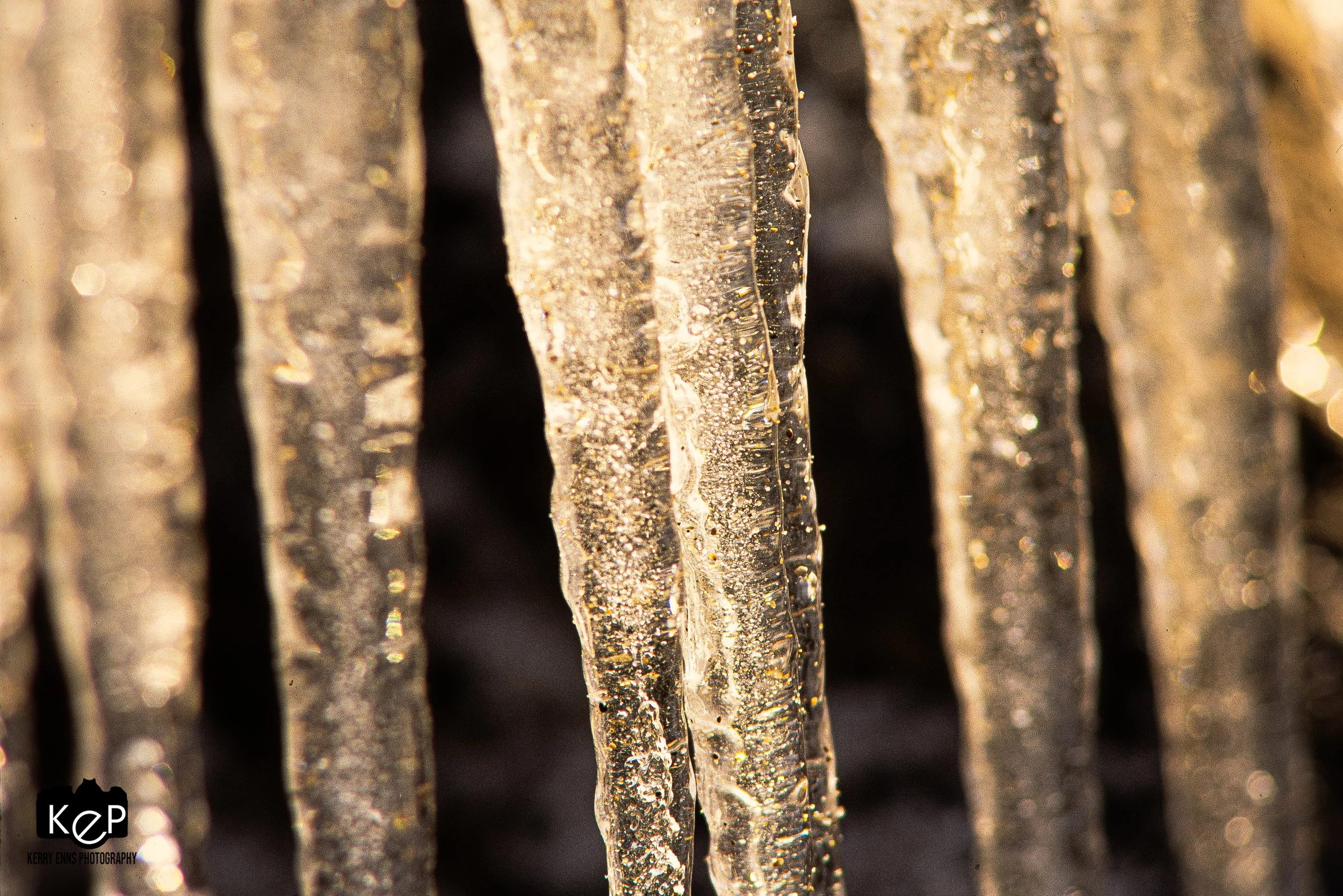 Ice Bars BW 1-2.jpg