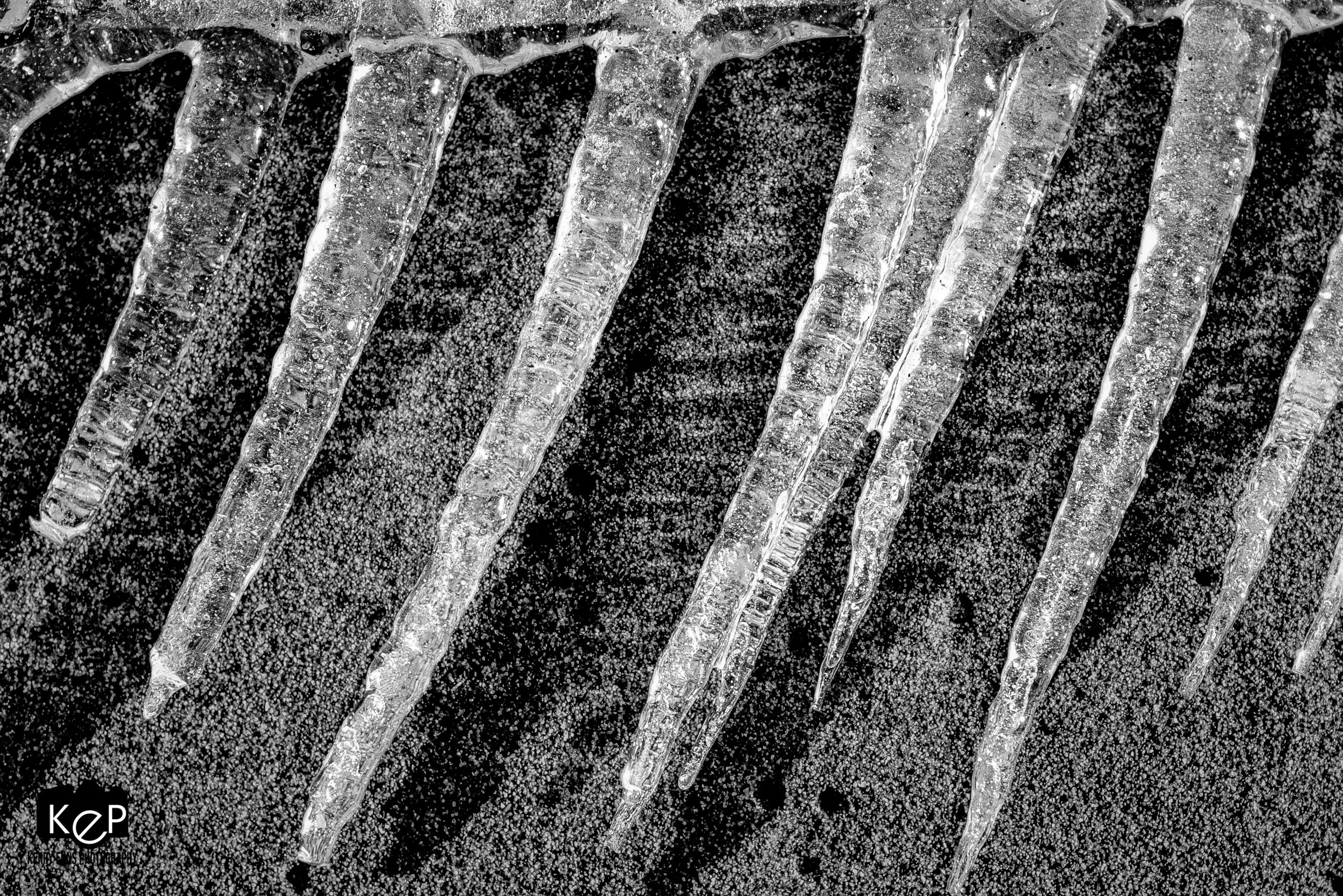 Lake Erie Icicles-1.jpg