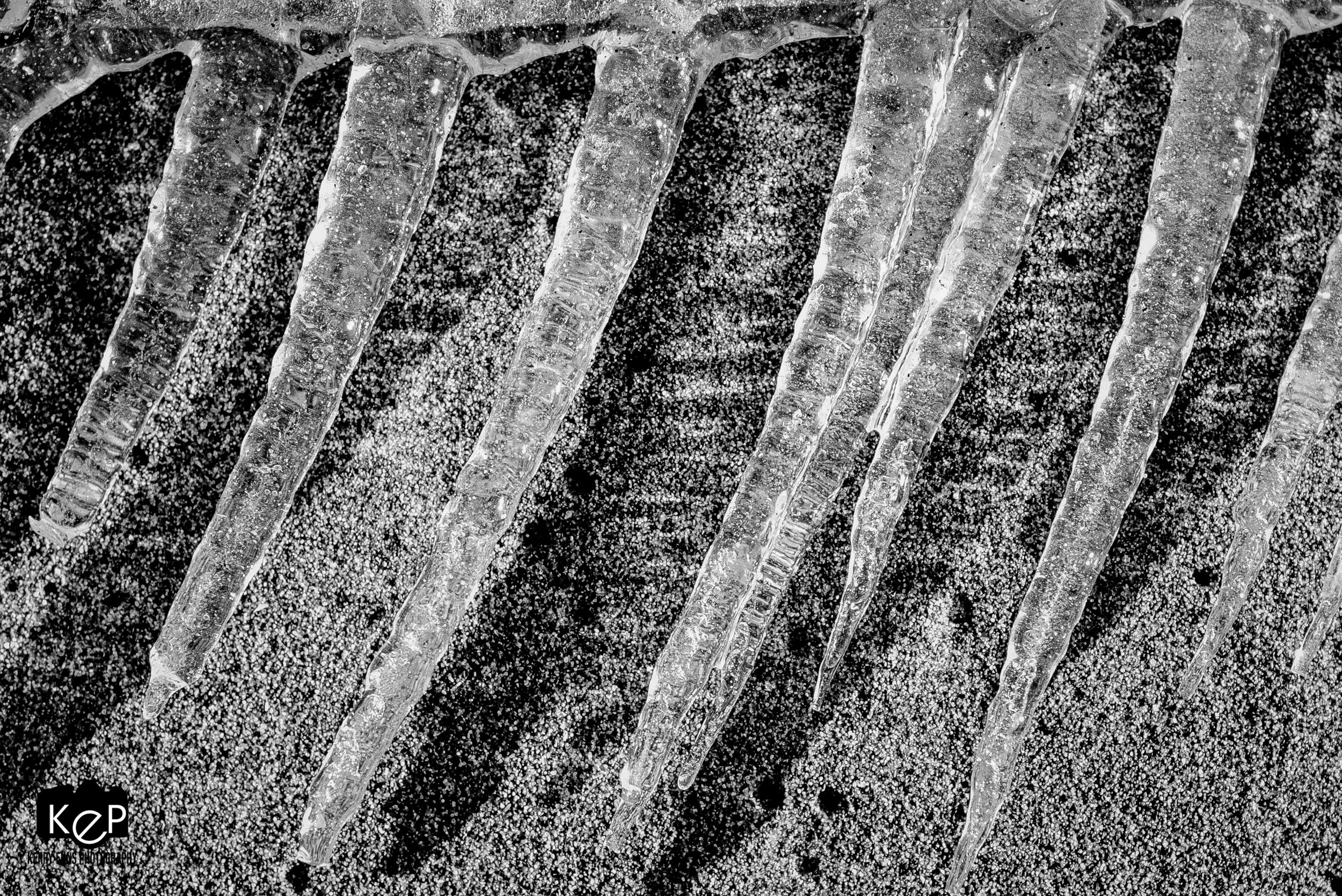 Lake Erie Icicles-1-4.jpg