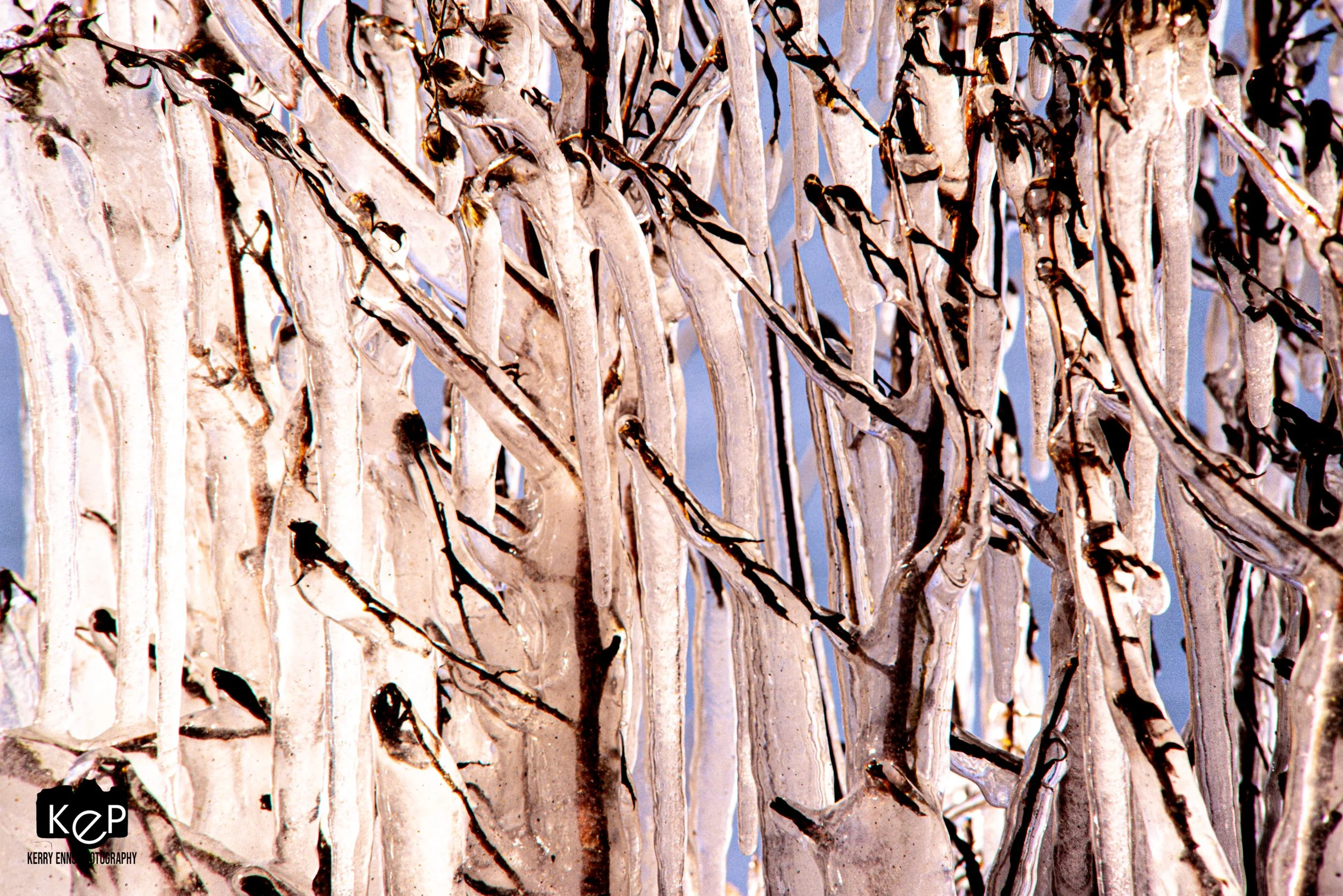 Lake Erie Icicles-25-4.jpg