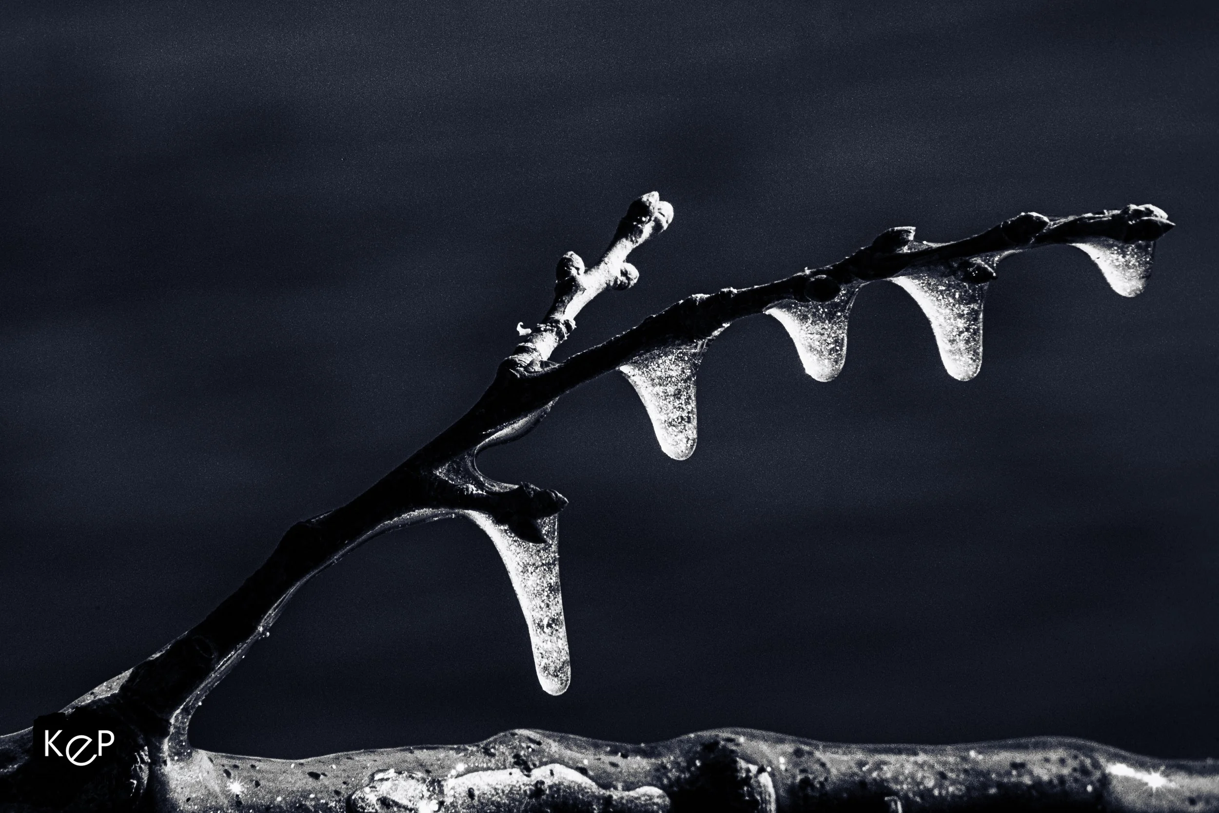 20211211-KEP_Leamington_Colour-4.jpg