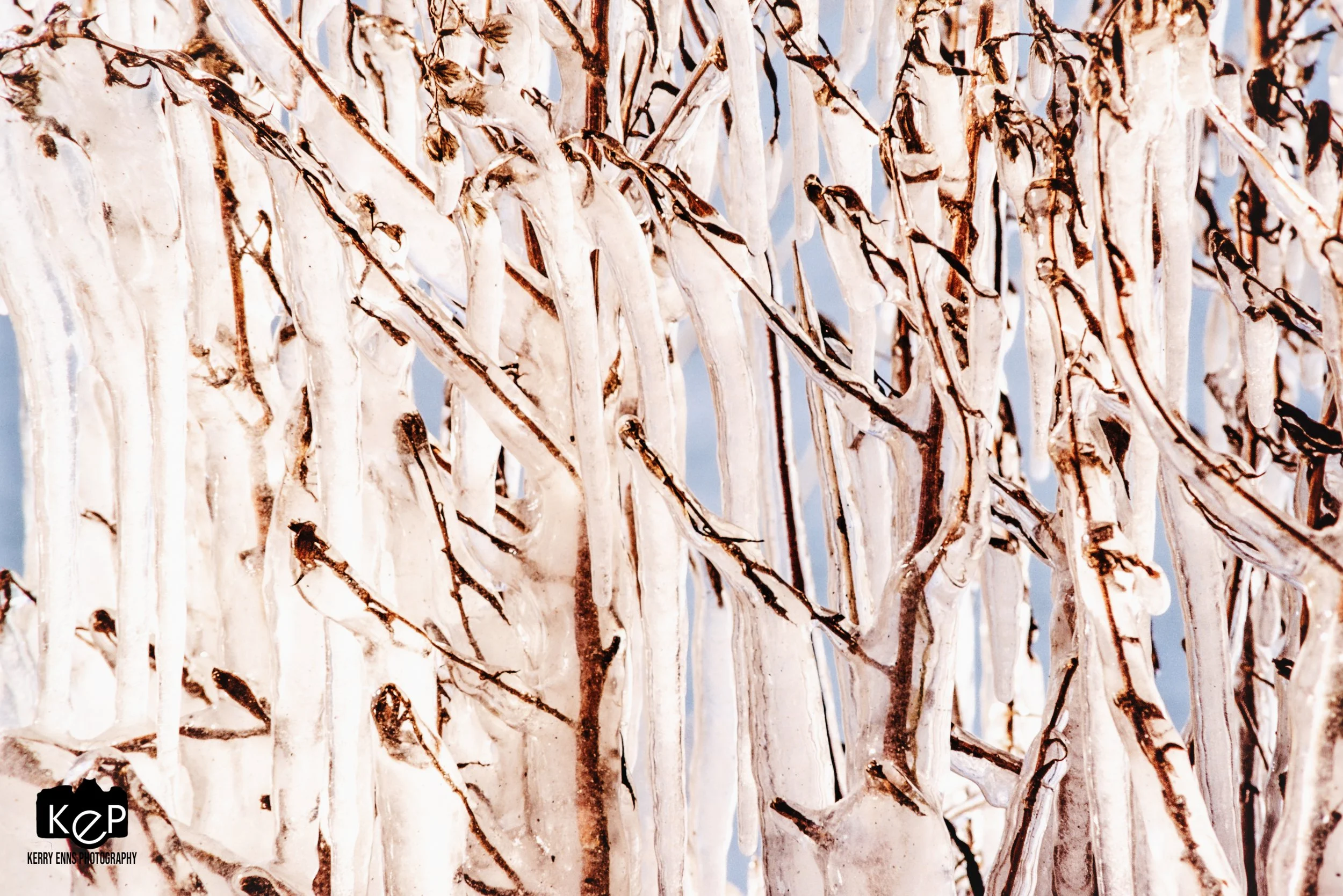 Lake Erie Icicles-25-2.jpg