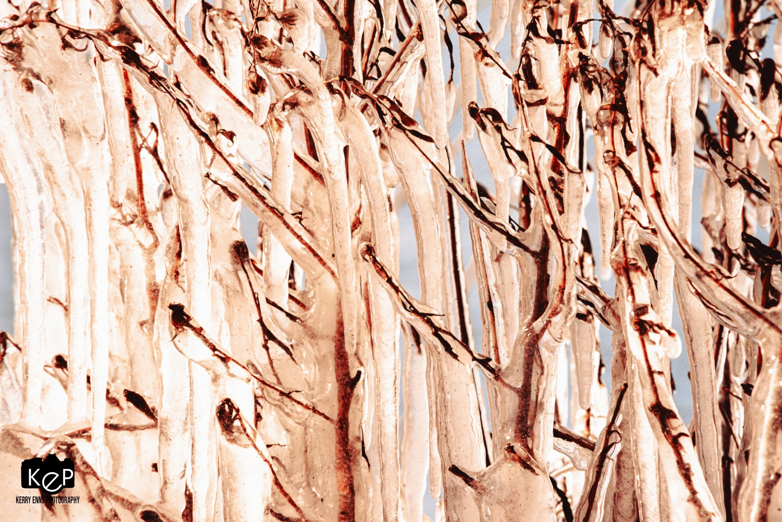 Lake Erie Icicles-25.jpg