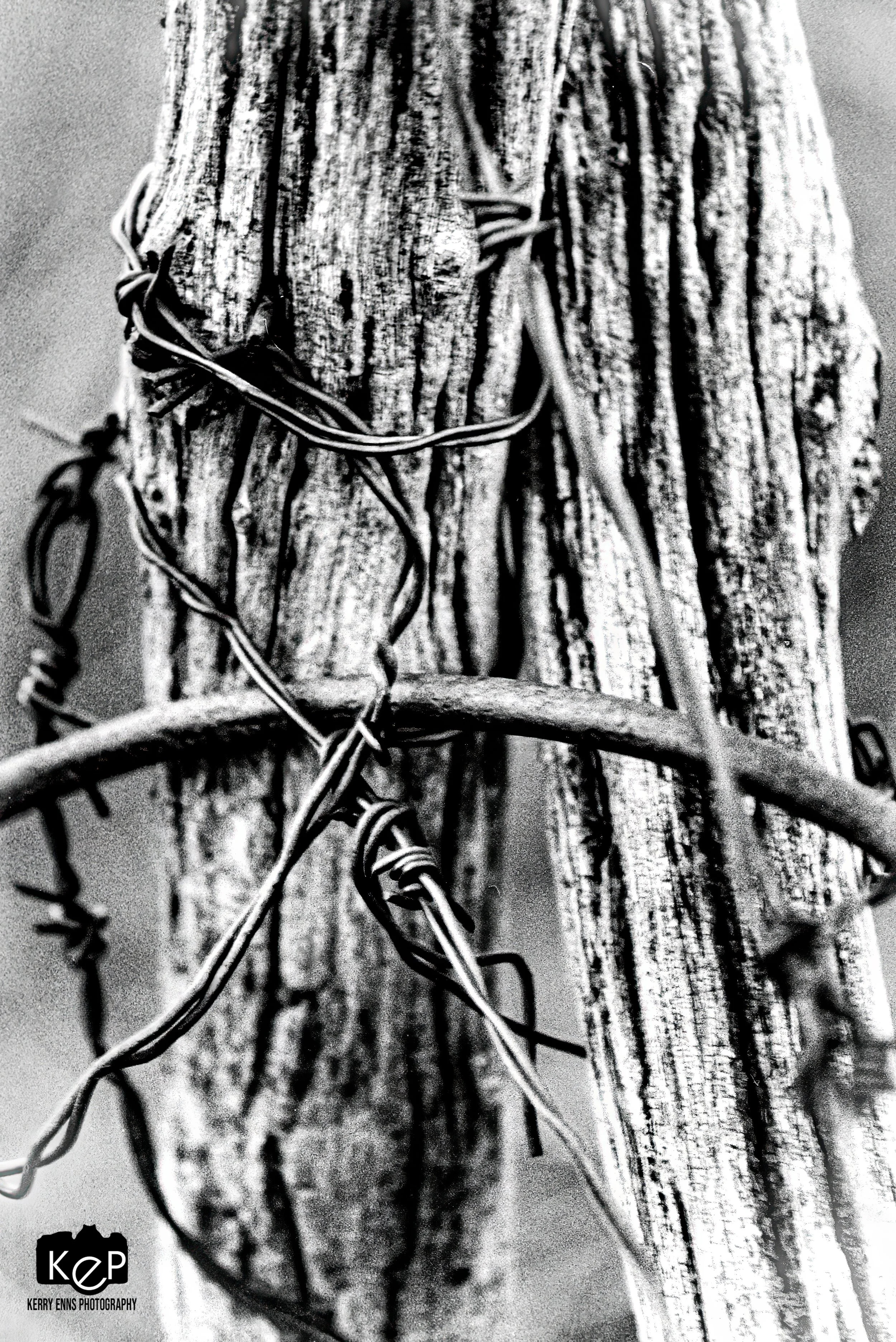 KEP_BW_Prairie-238-Edit.jpg