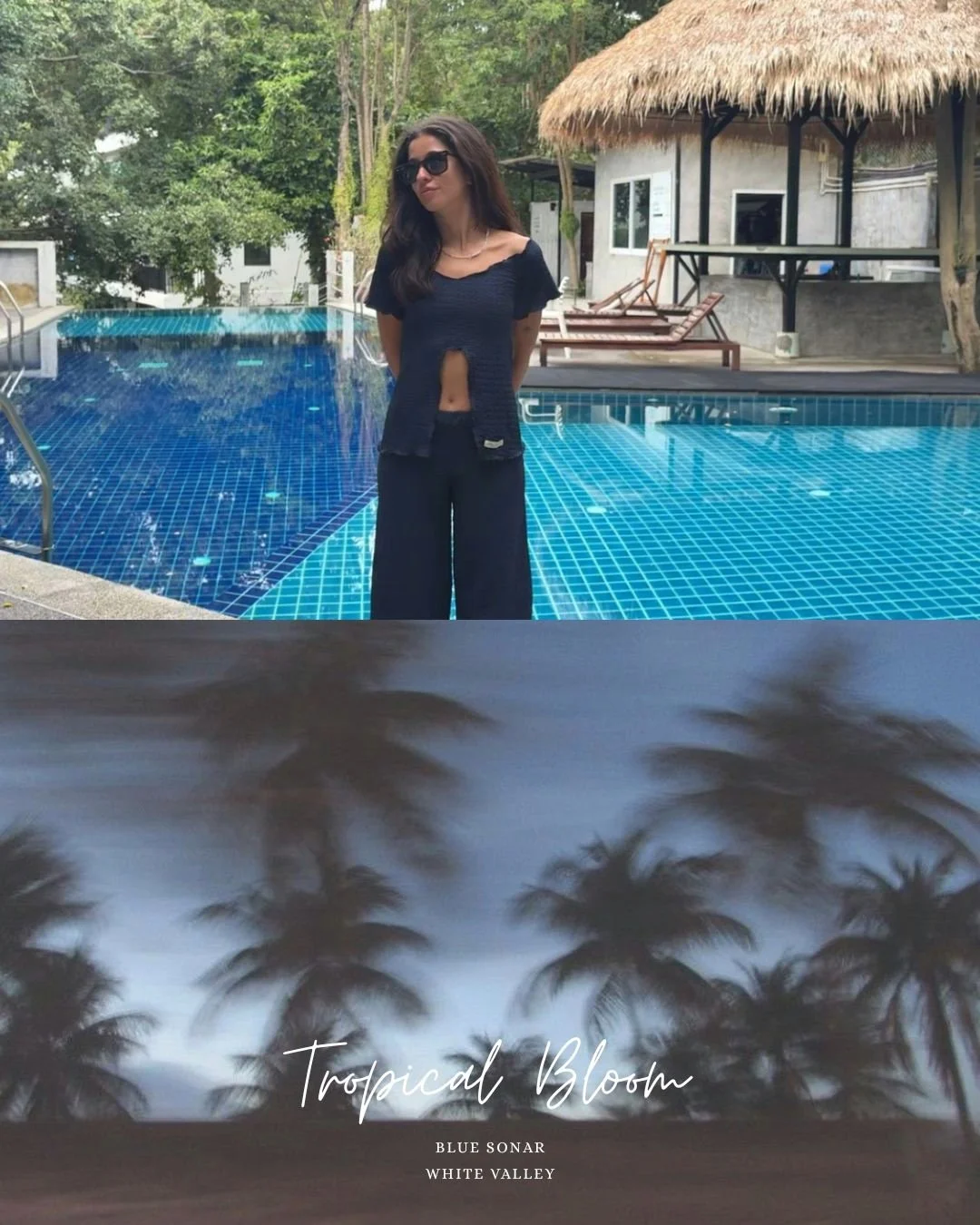 tropical collection.jpg