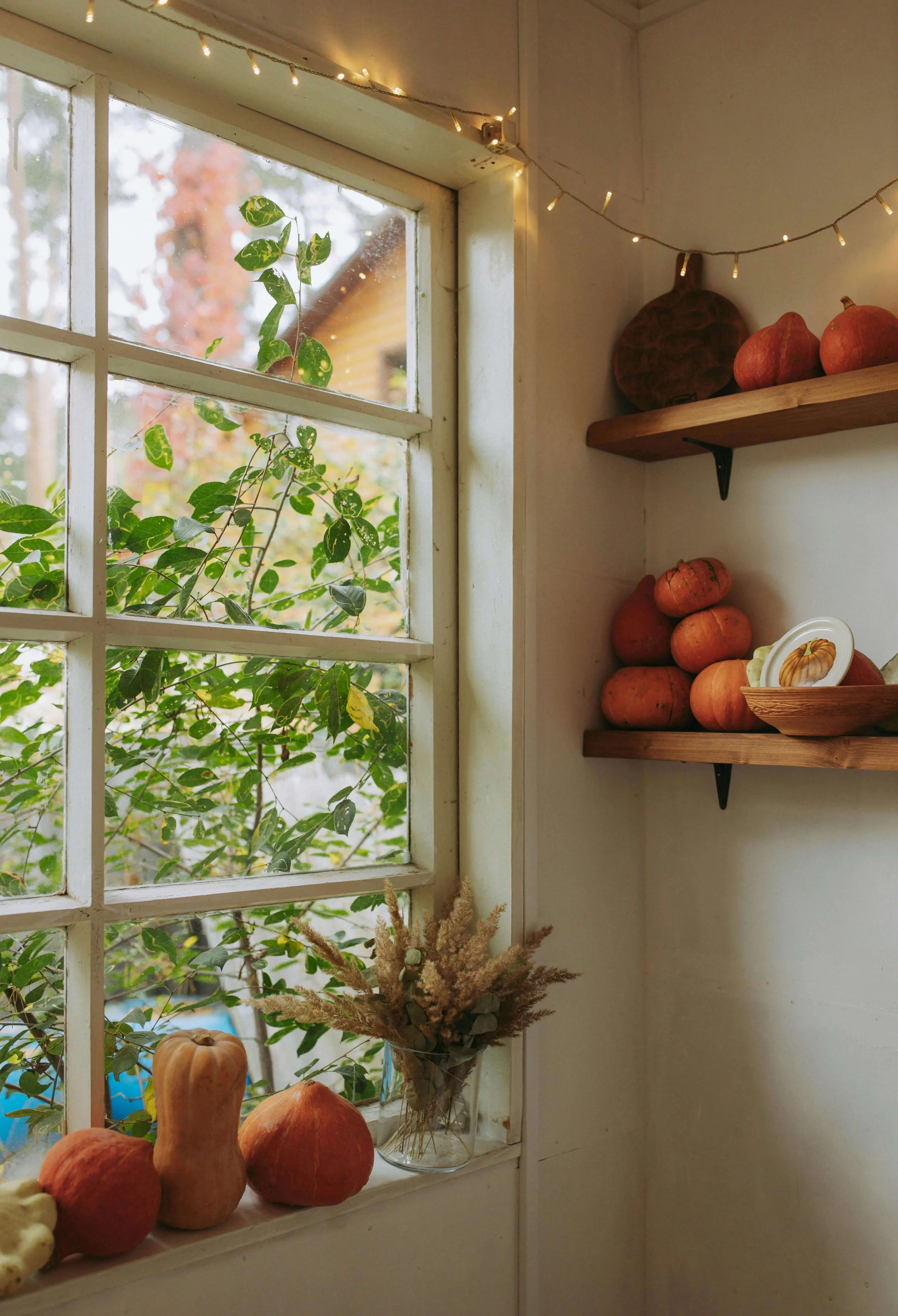 Styled corner with wood shelves holding small pumpkins and gourds, dried florals on the windowsill, and warm string lights.