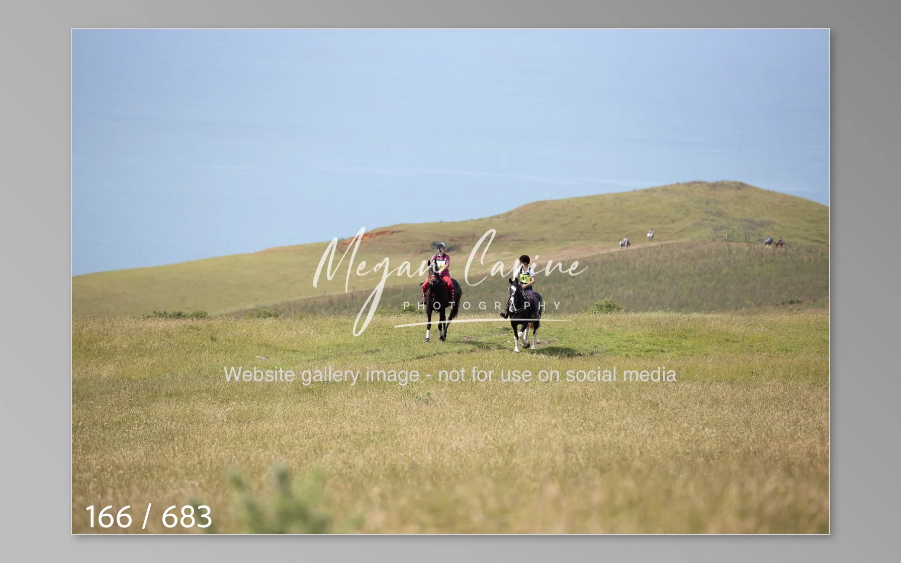 Abbotsbury-166.jpg