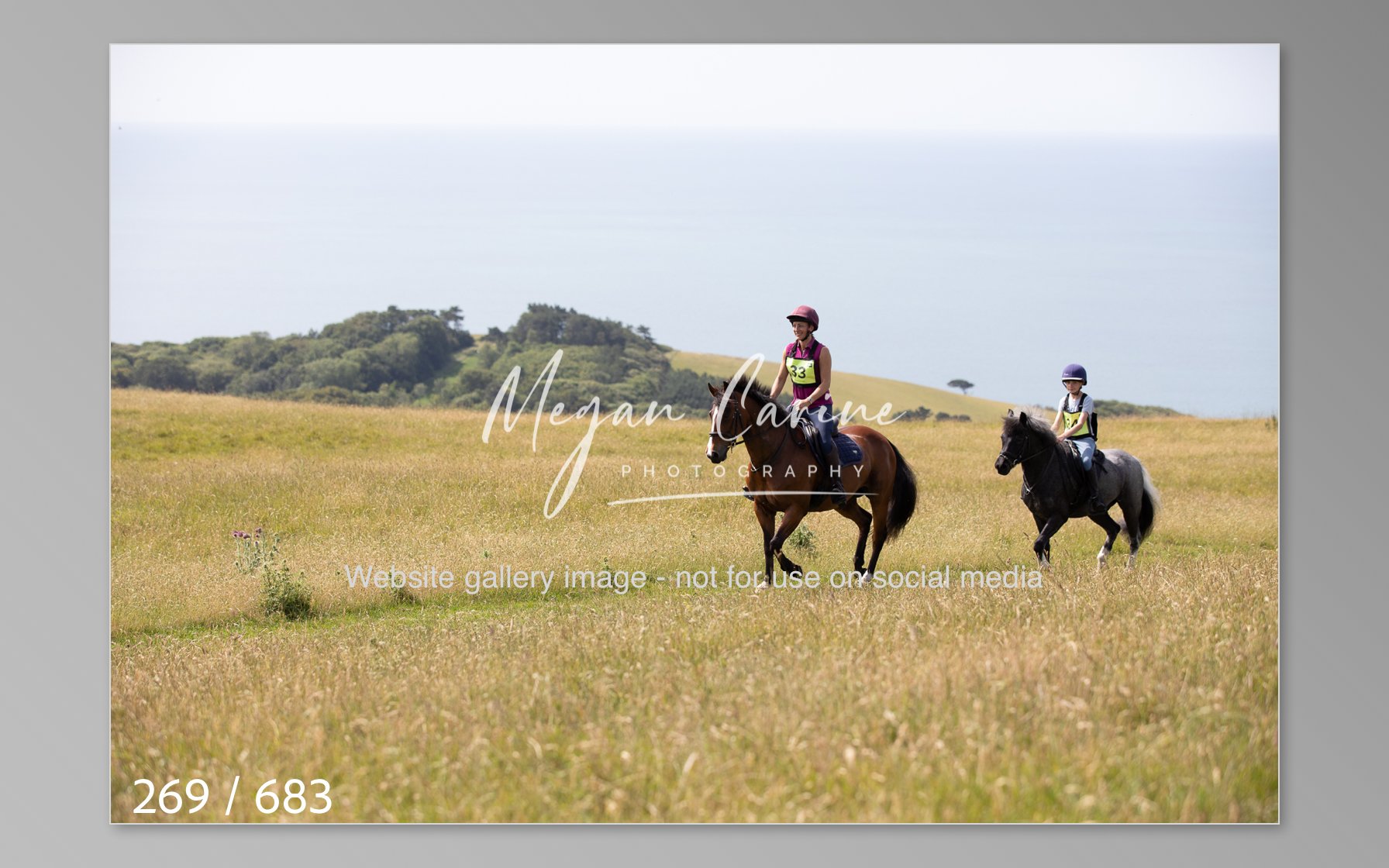 Abbotsbury-269.jpg