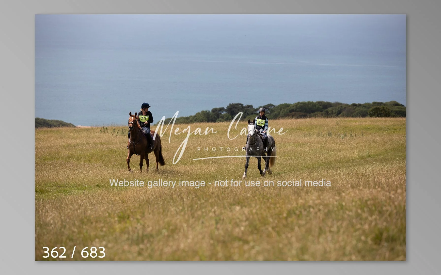 Abbotsbury-362.jpg