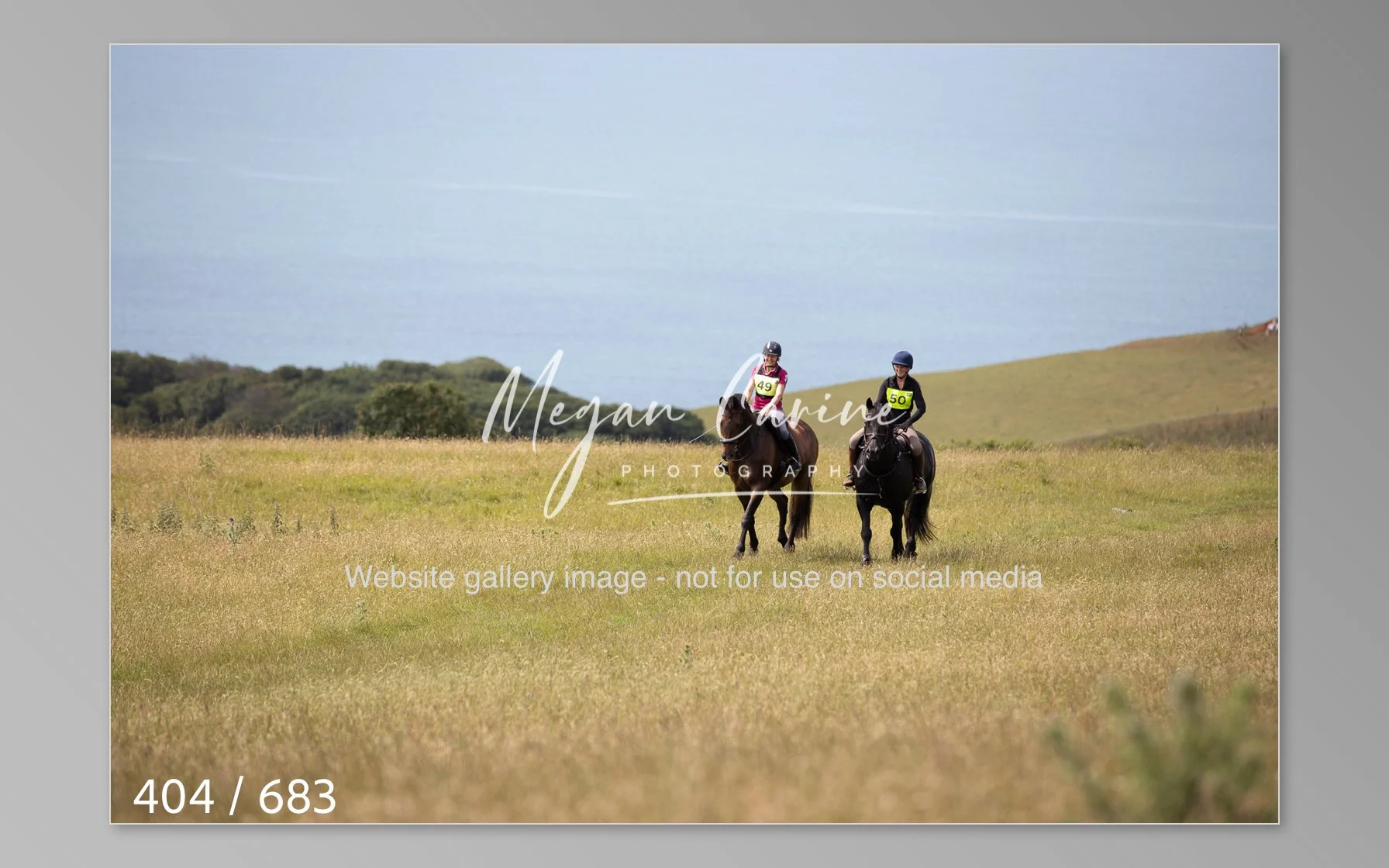 Abbotsbury-404.jpg