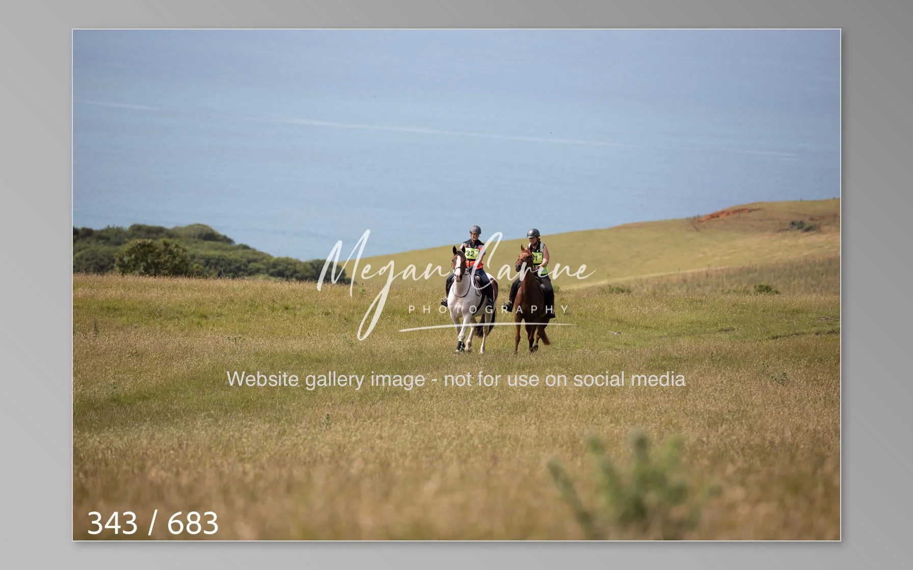 Abbotsbury-343.jpg