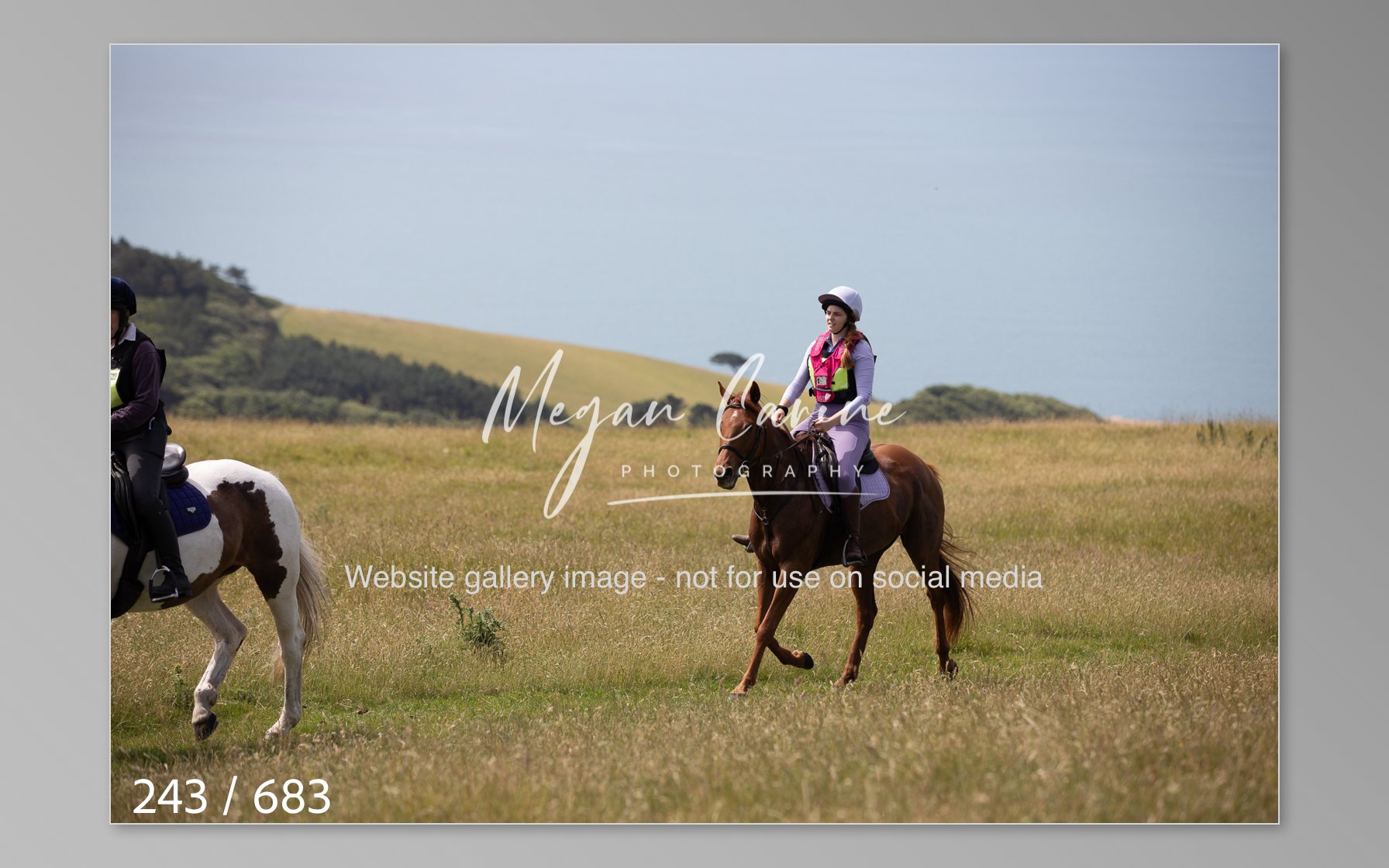 Abbotsbury-243.jpg
