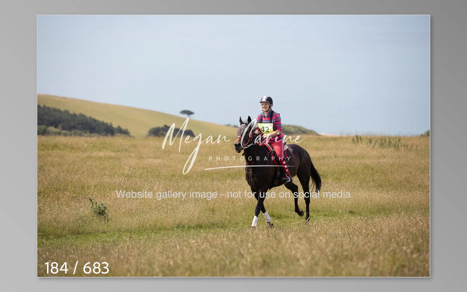 Abbotsbury-184.jpg