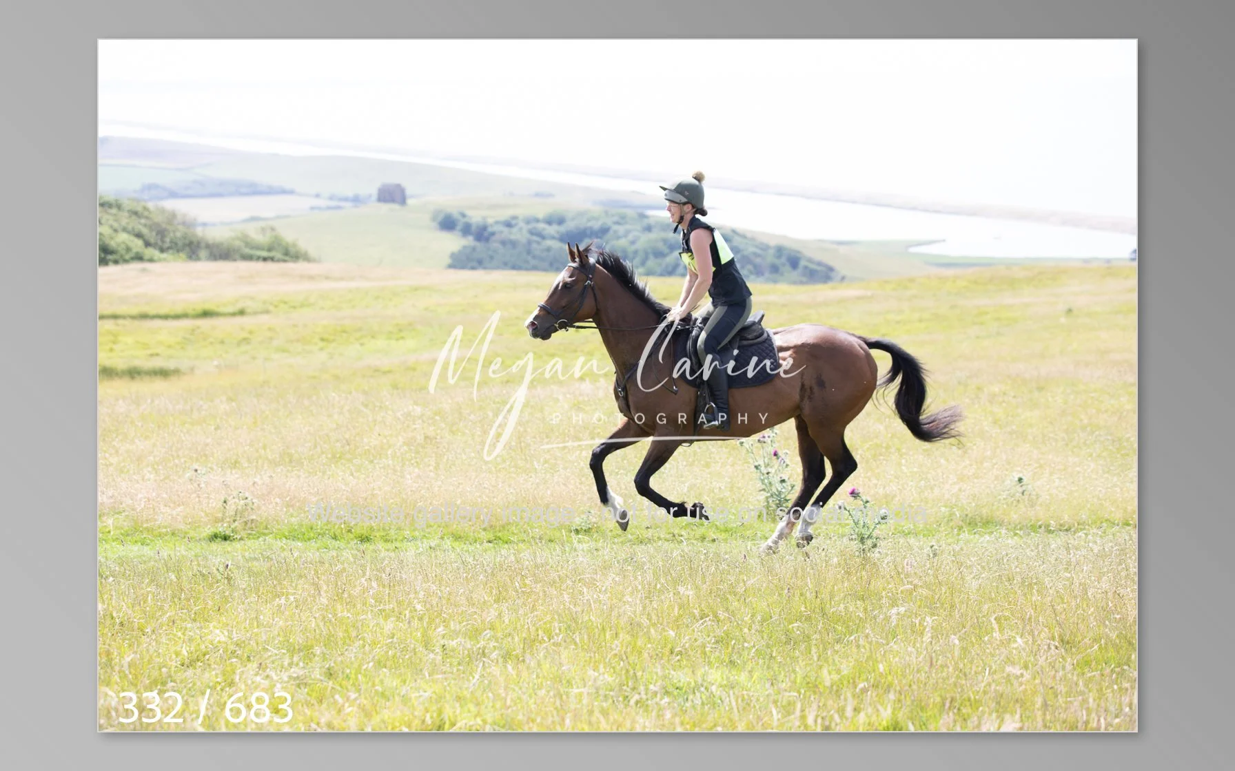 Abbotsbury-332.jpg