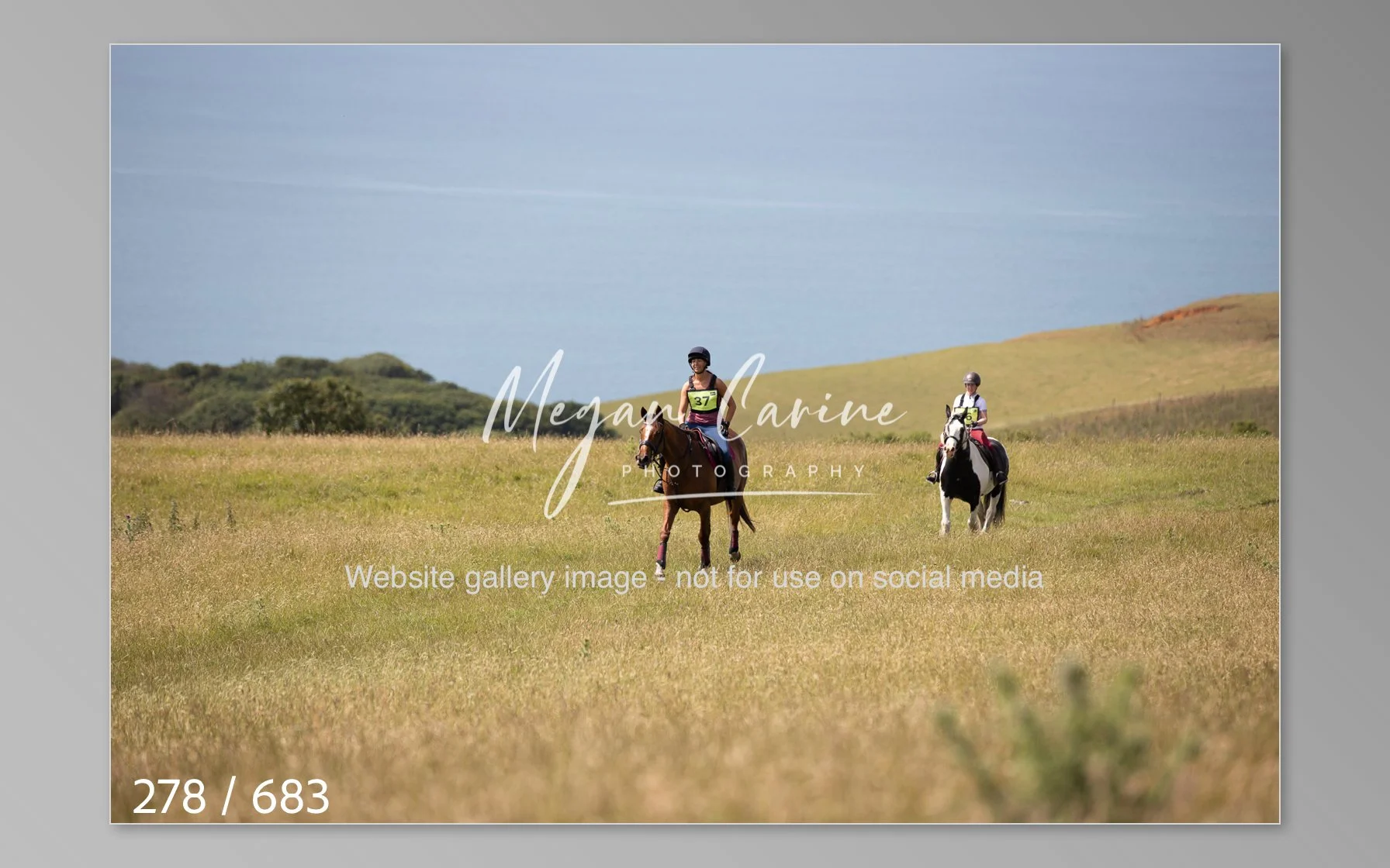 Abbotsbury-278.jpg