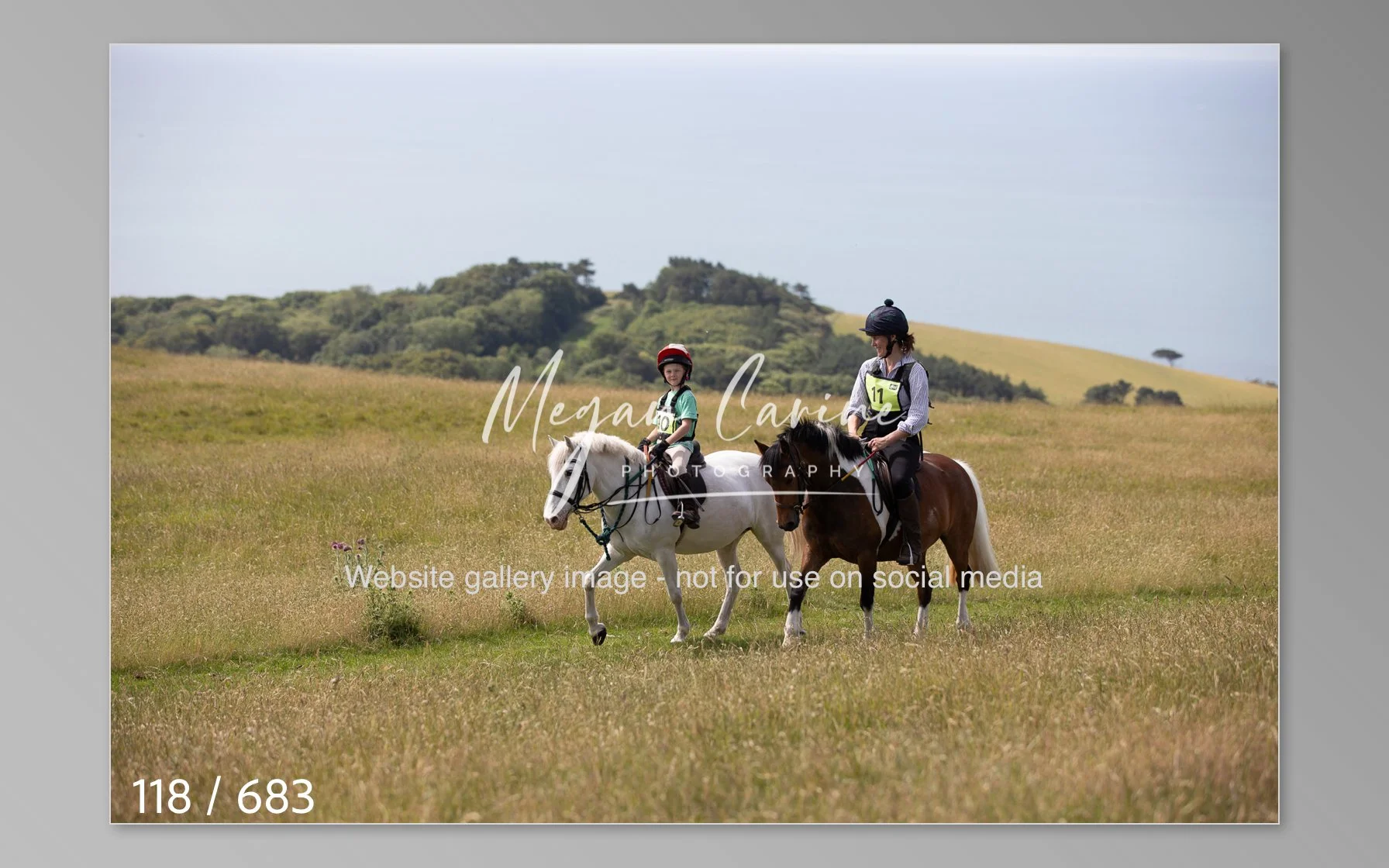 Abbotsbury-118.jpg