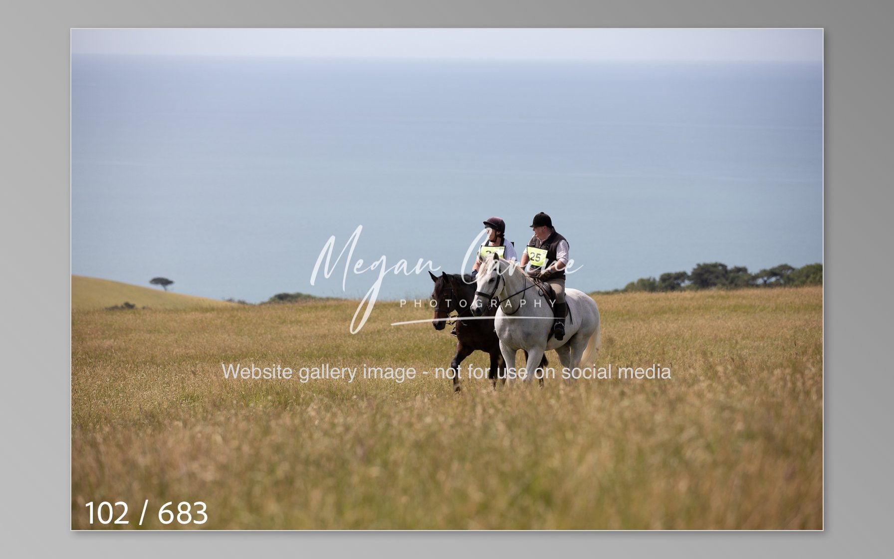 Abbotsbury-102.jpg