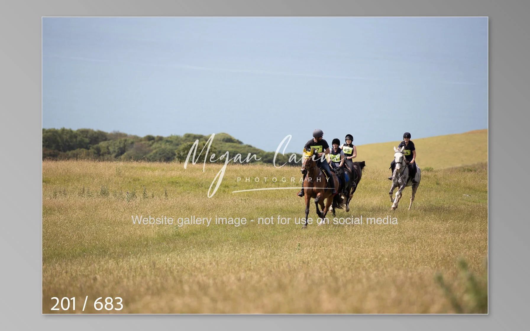 Abbotsbury-201.jpg