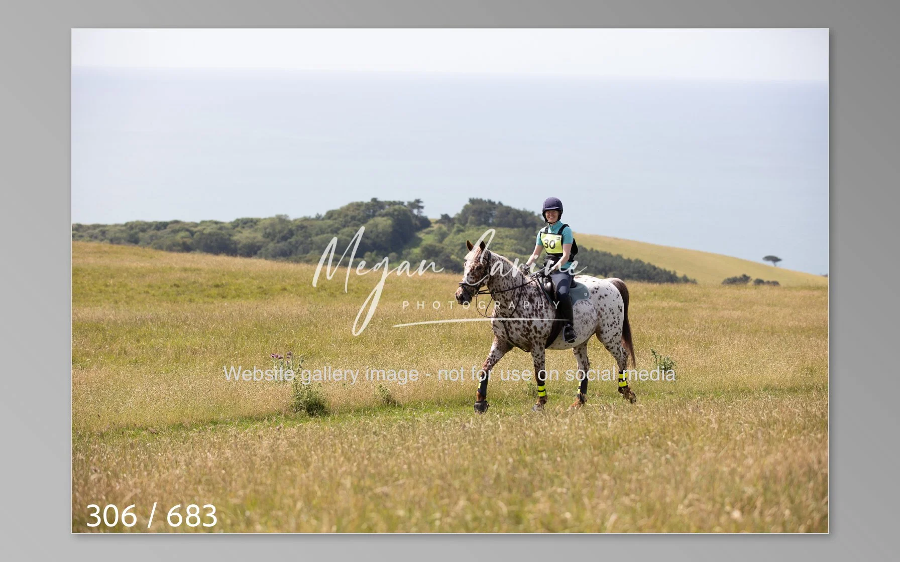 Abbotsbury-306.jpg