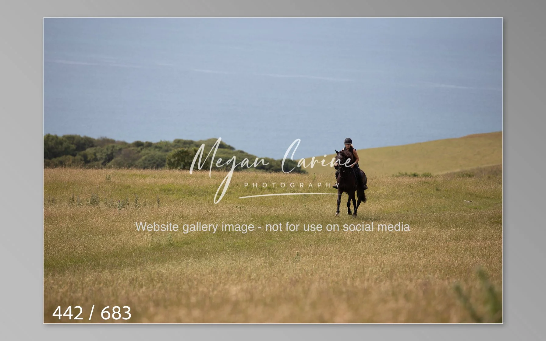 Abbotsbury-442.jpg