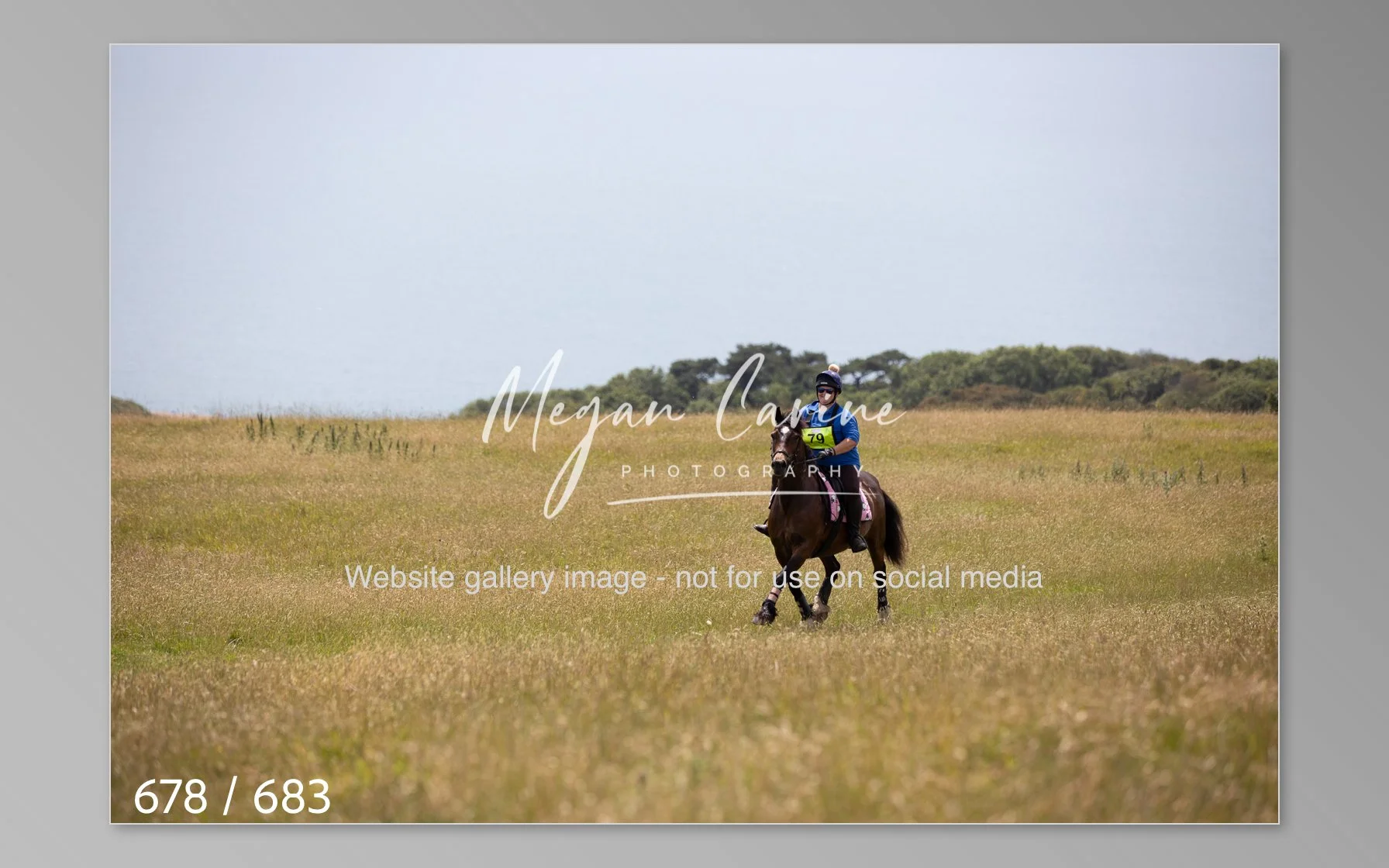 Abbotsbury-678.jpg