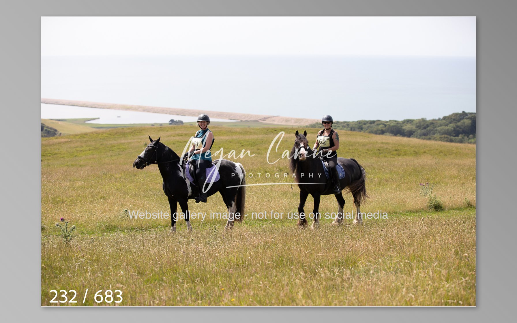 Abbotsbury-232.jpg