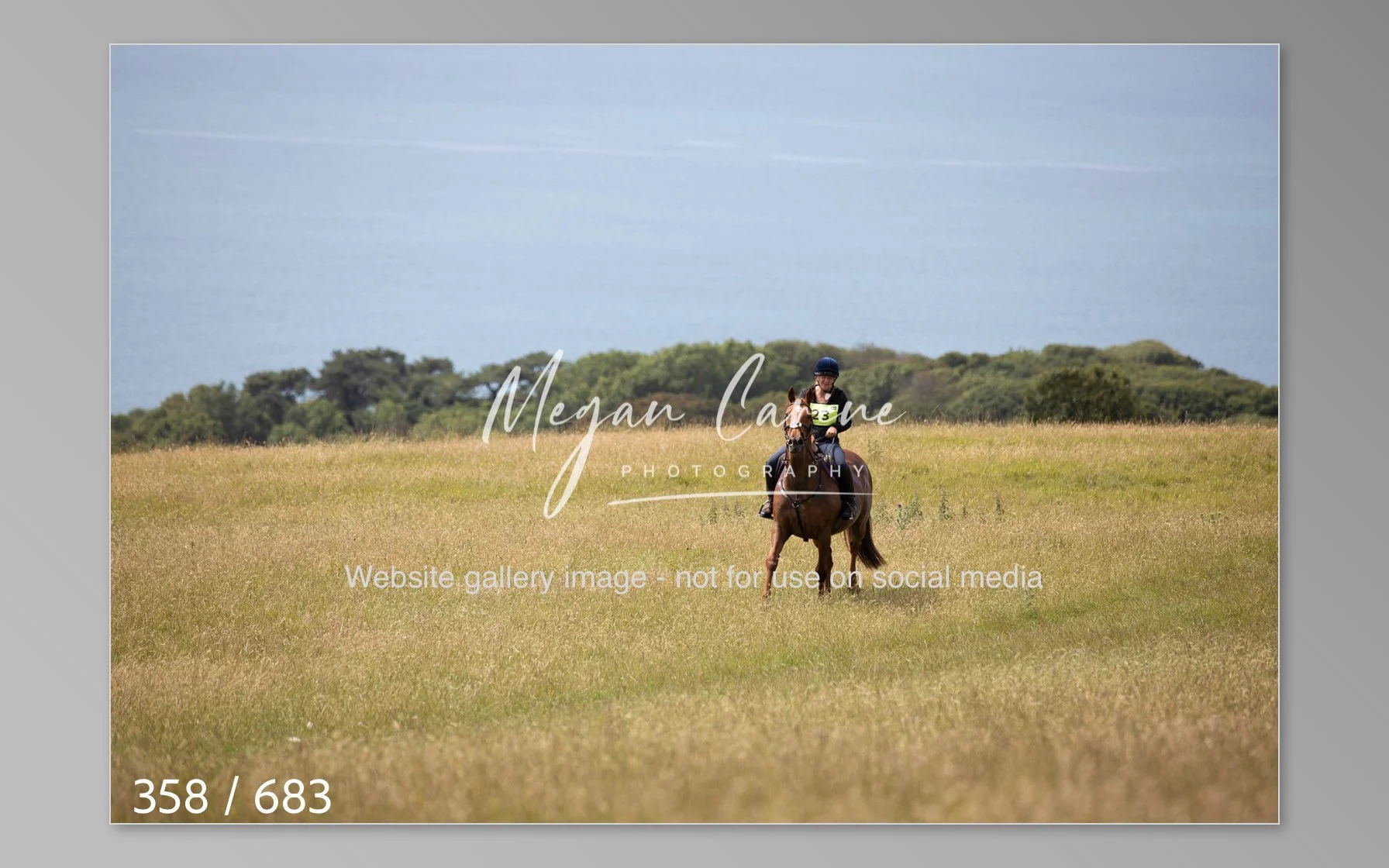 Abbotsbury-358.jpg