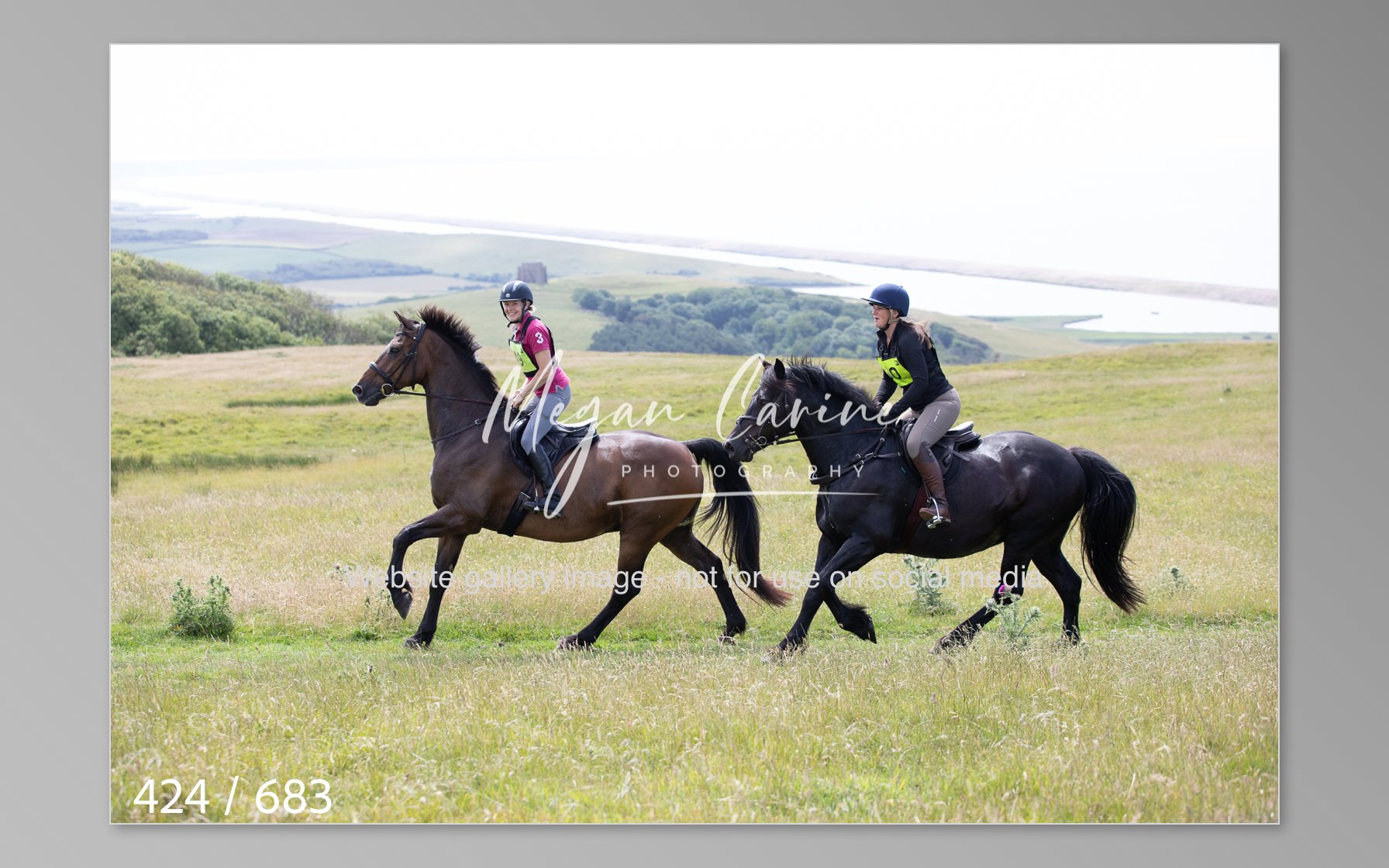 Abbotsbury-424.jpg