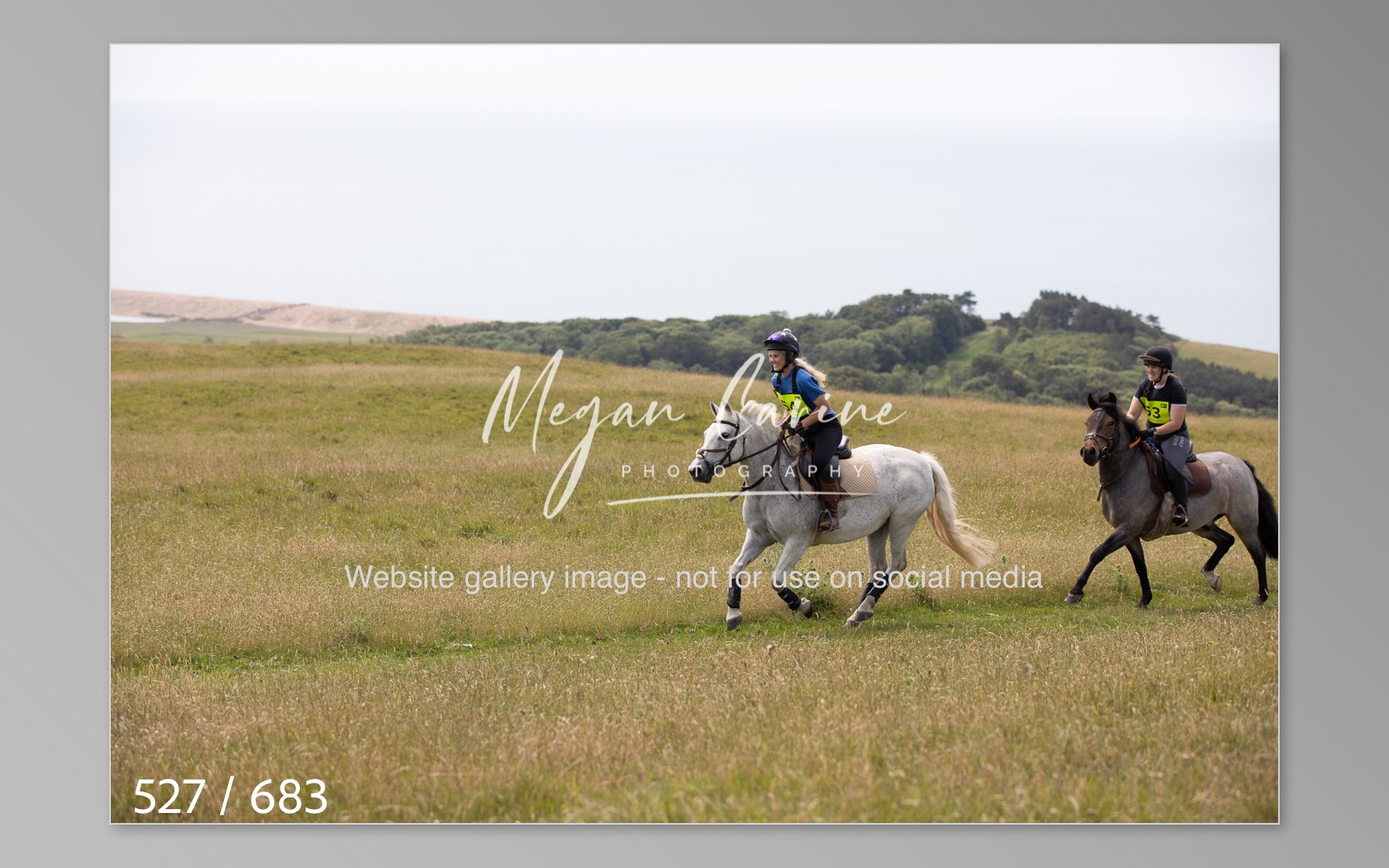 Abbotsbury-527.jpg