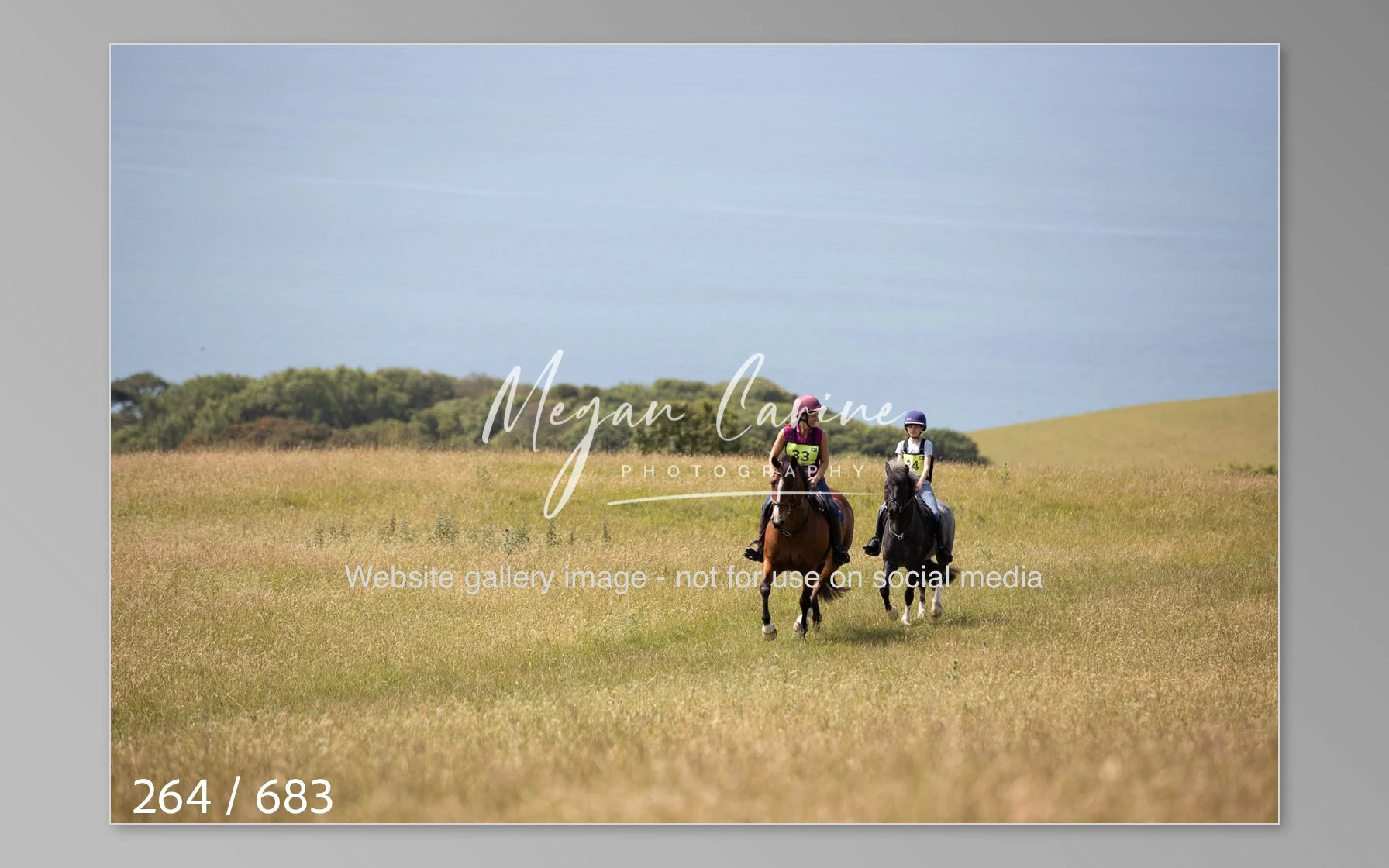 Abbotsbury-264.jpg