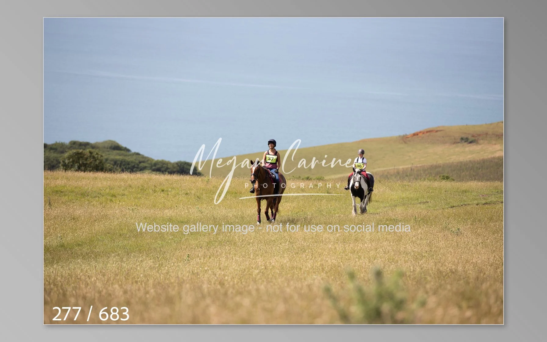 Abbotsbury-277.jpg