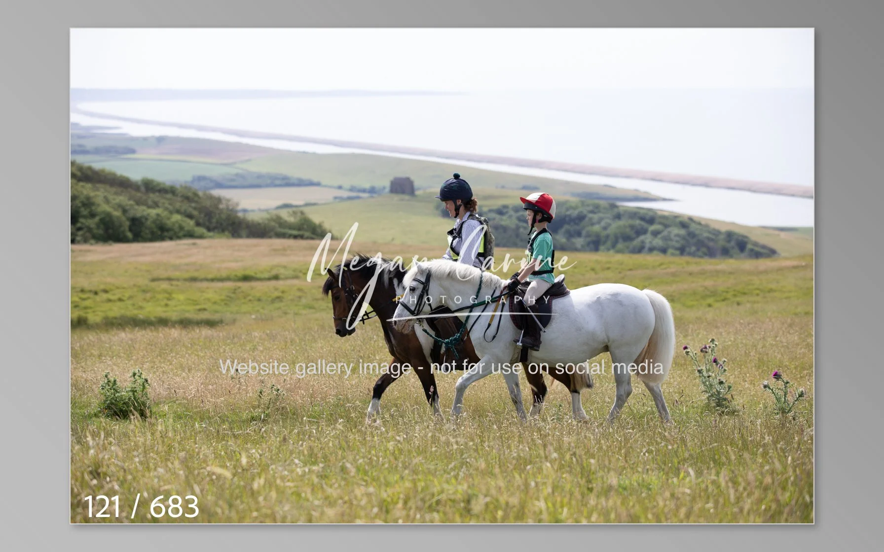 Abbotsbury-121.jpg