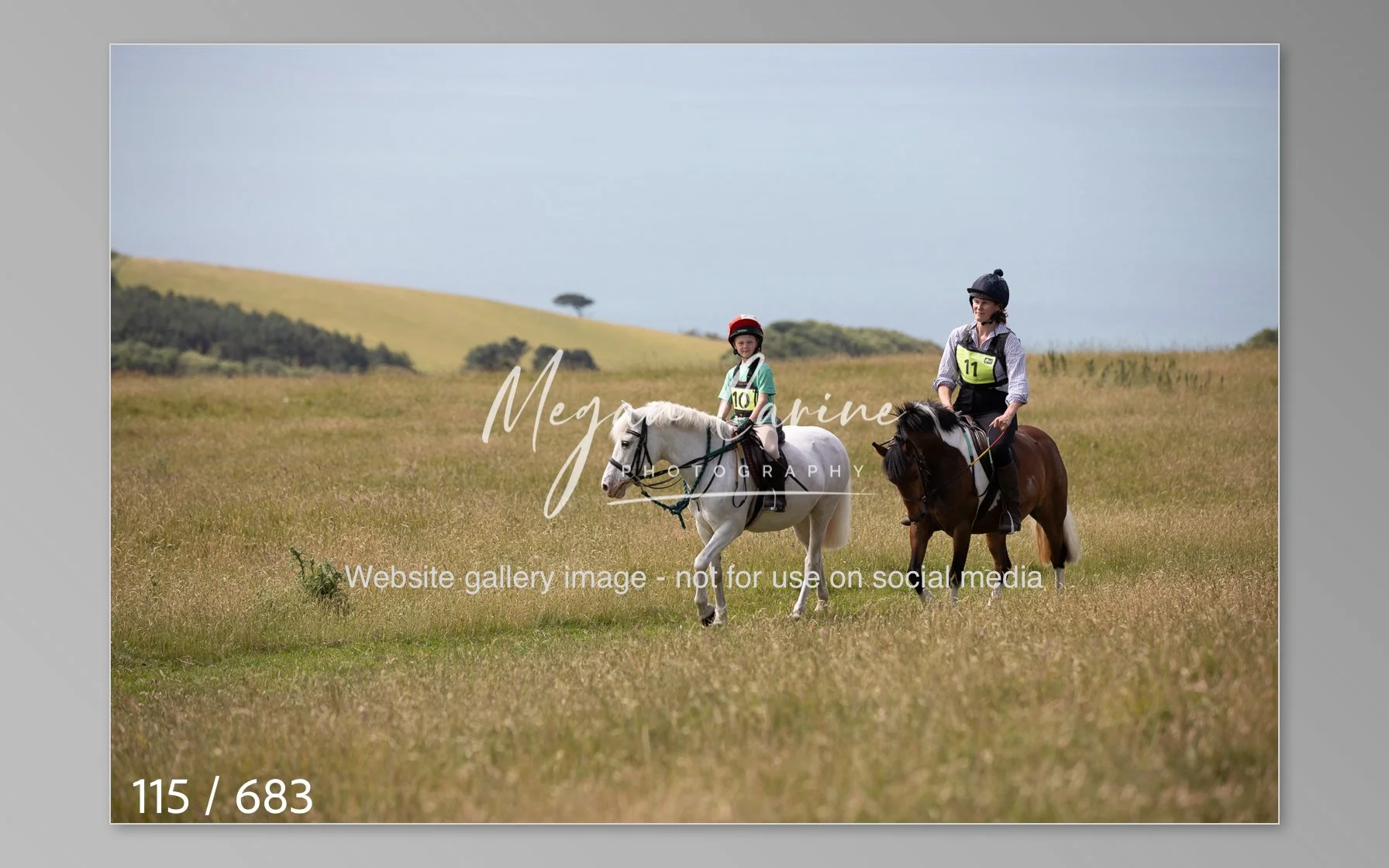 Abbotsbury-115.jpg