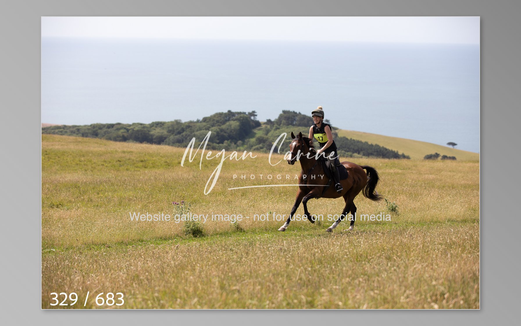 Abbotsbury-329.jpg