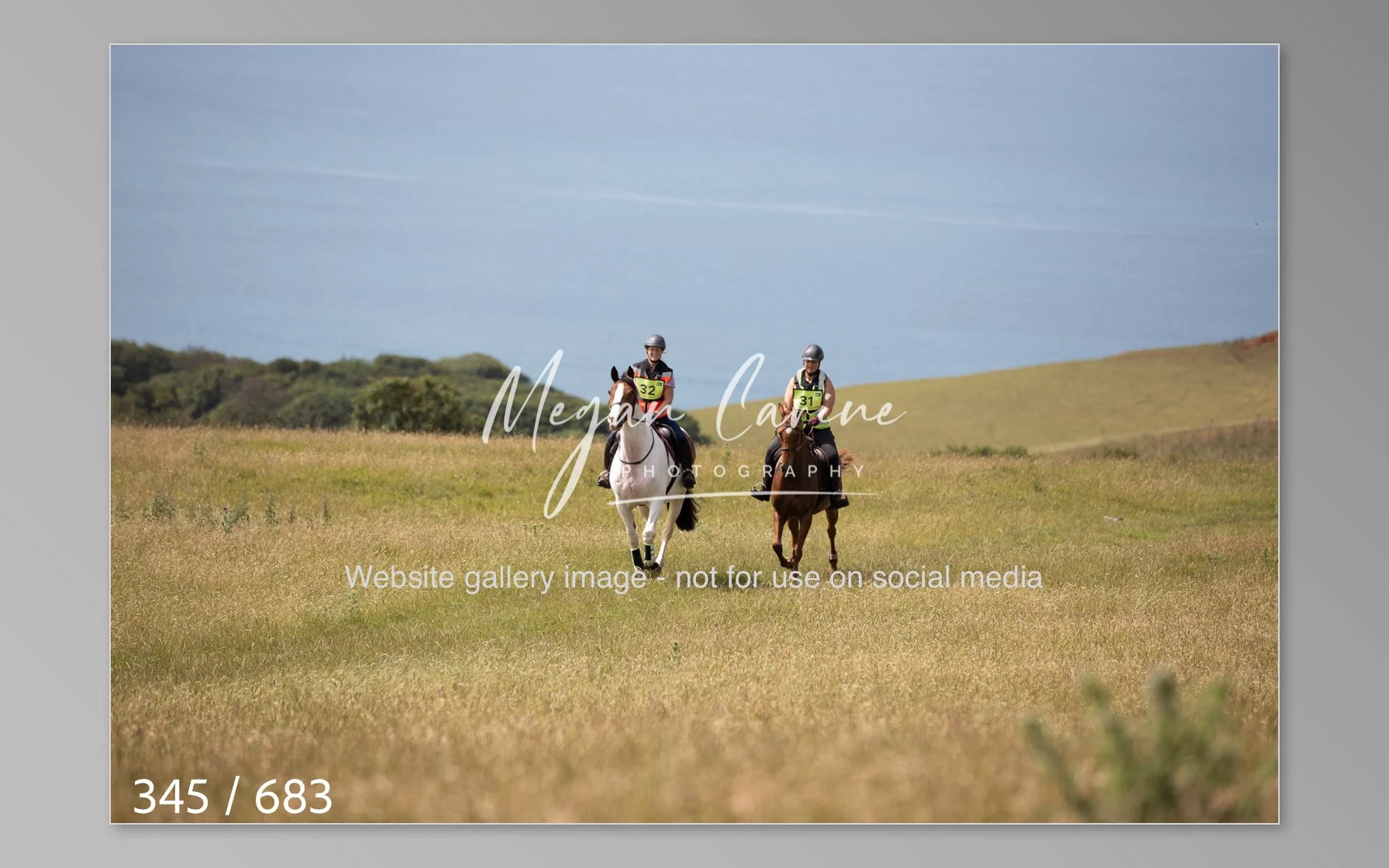 Abbotsbury-345.jpg