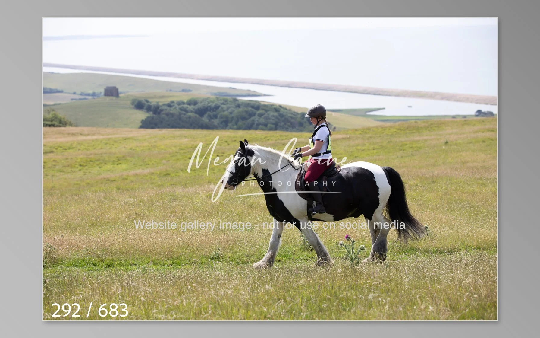 Abbotsbury-292.jpg