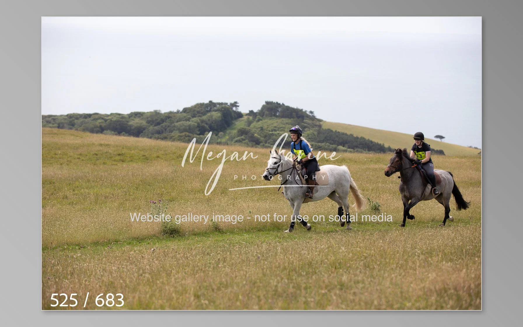 Abbotsbury-525.jpg