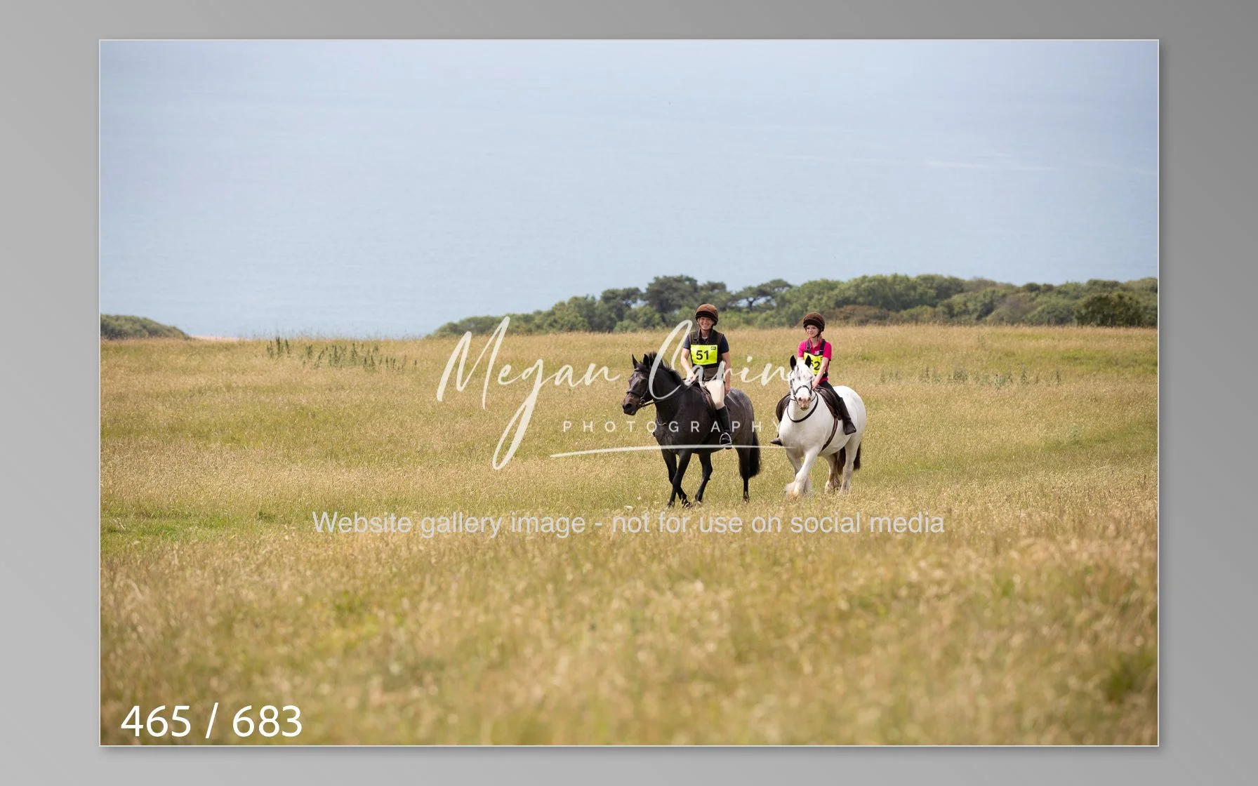 Abbotsbury-465.jpg