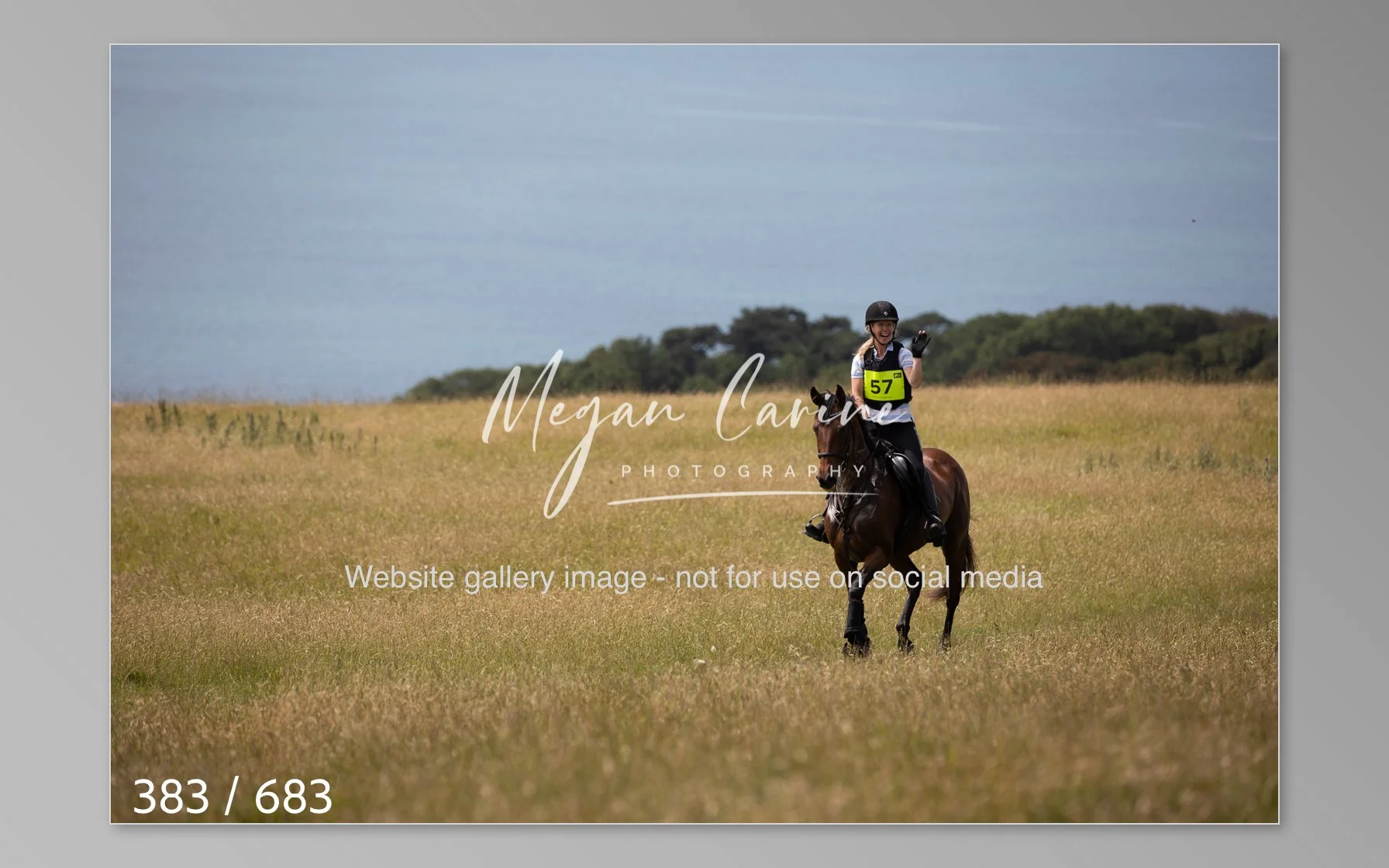 Abbotsbury-383.jpg