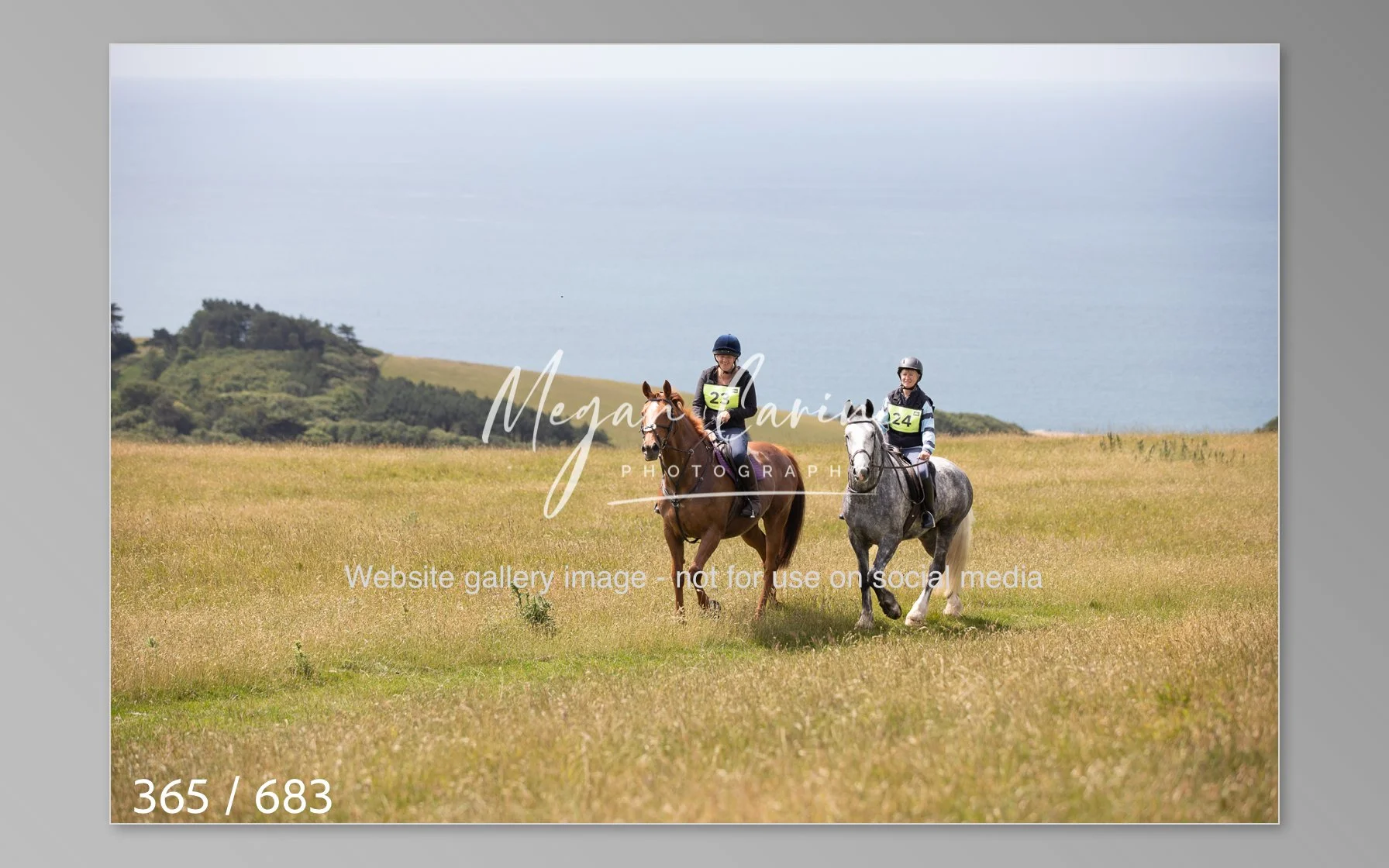 Abbotsbury-365.jpg