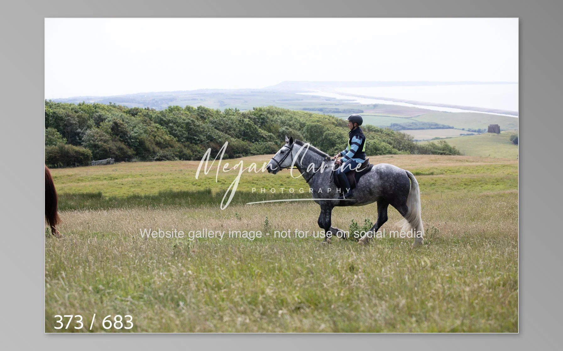 Abbotsbury-373.jpg