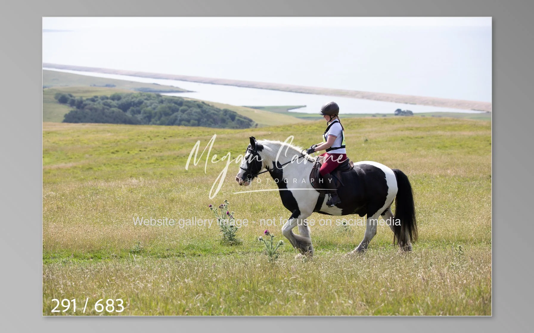 Abbotsbury-291.jpg