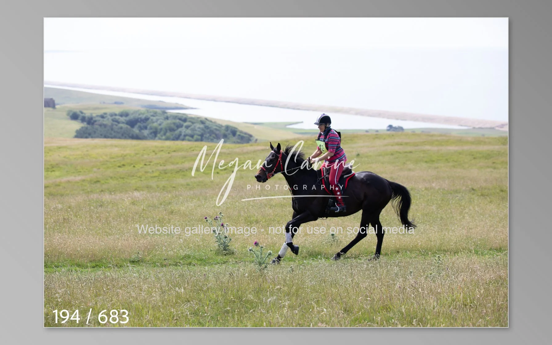 Abbotsbury-194.jpg