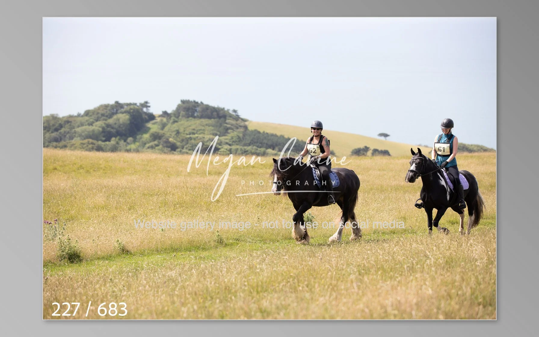 Abbotsbury-227.jpg