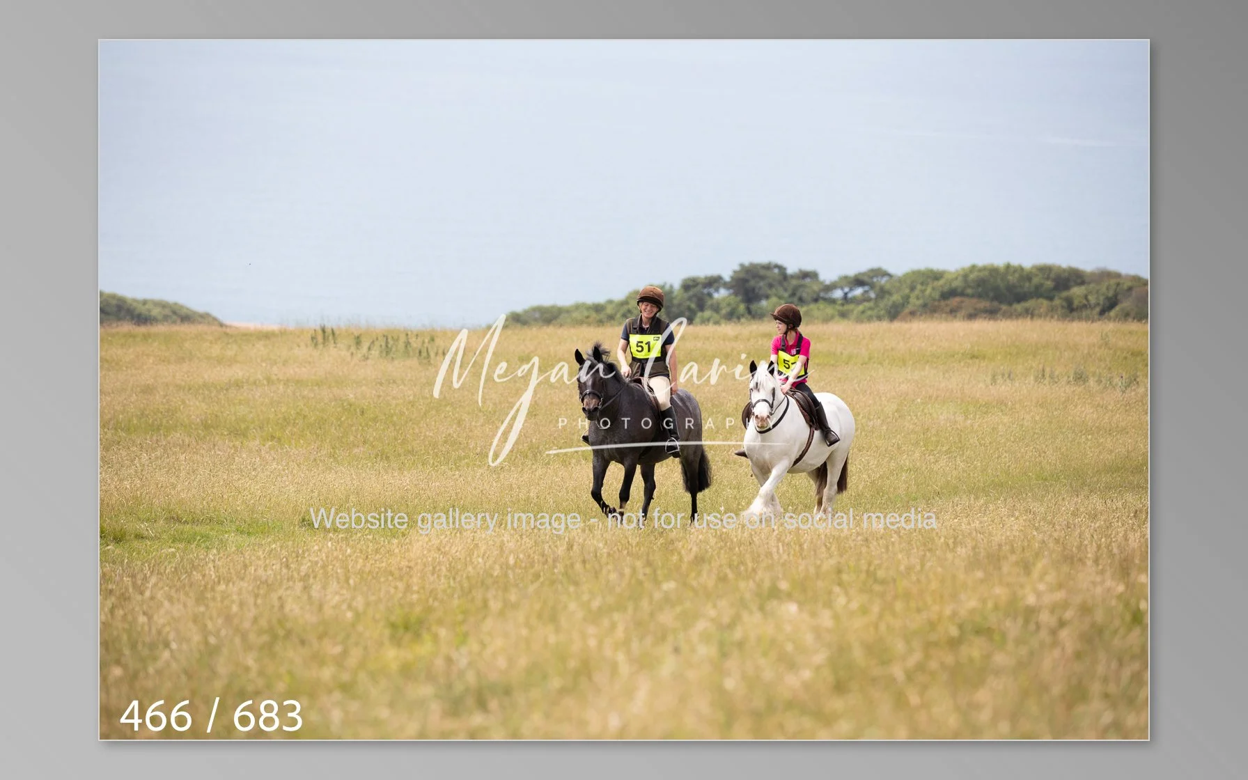 Abbotsbury-466.jpg