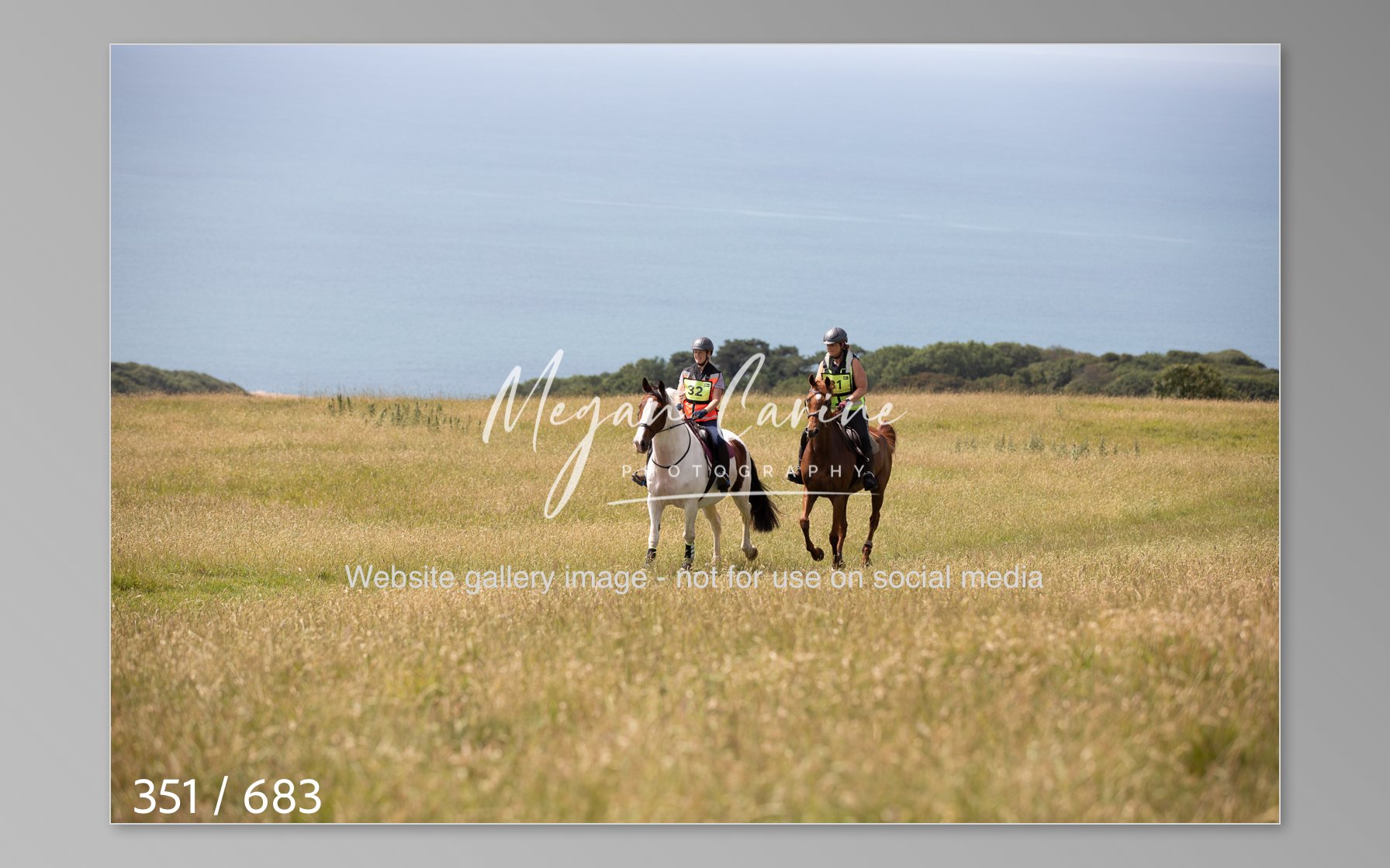 Abbotsbury-351.jpg